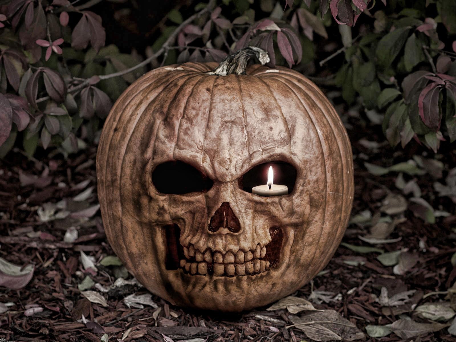 pumpkin, skull, halloween, brown, scary, jack, lantern, 720P, holiday halloween, o, HD Wallpaper