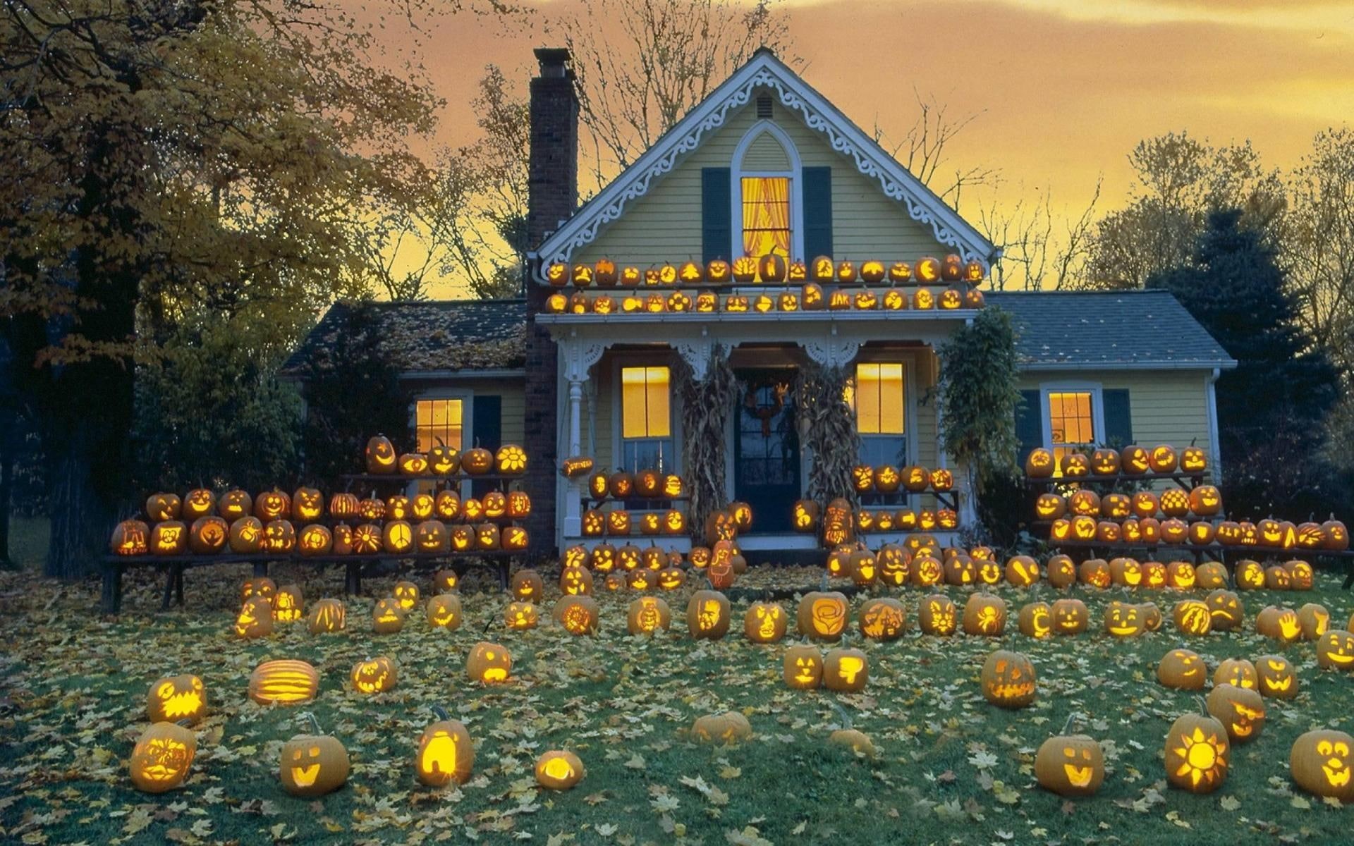 1080P, autumn, halloween, patch, pumpkin, HD Wallpaper