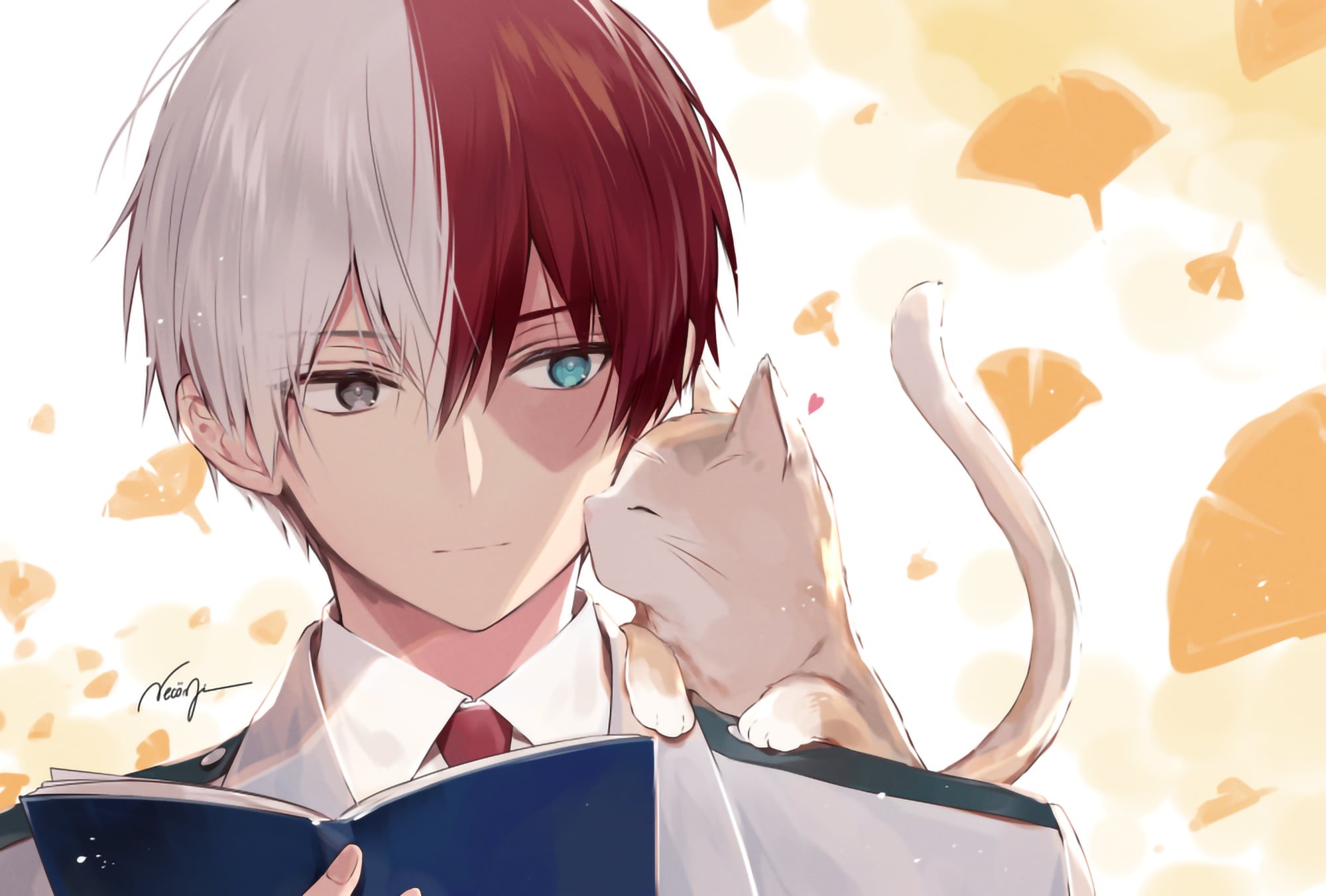 Anime, Shoto Todoroki, 1080P, My Hero Academia, HD Wallpaper