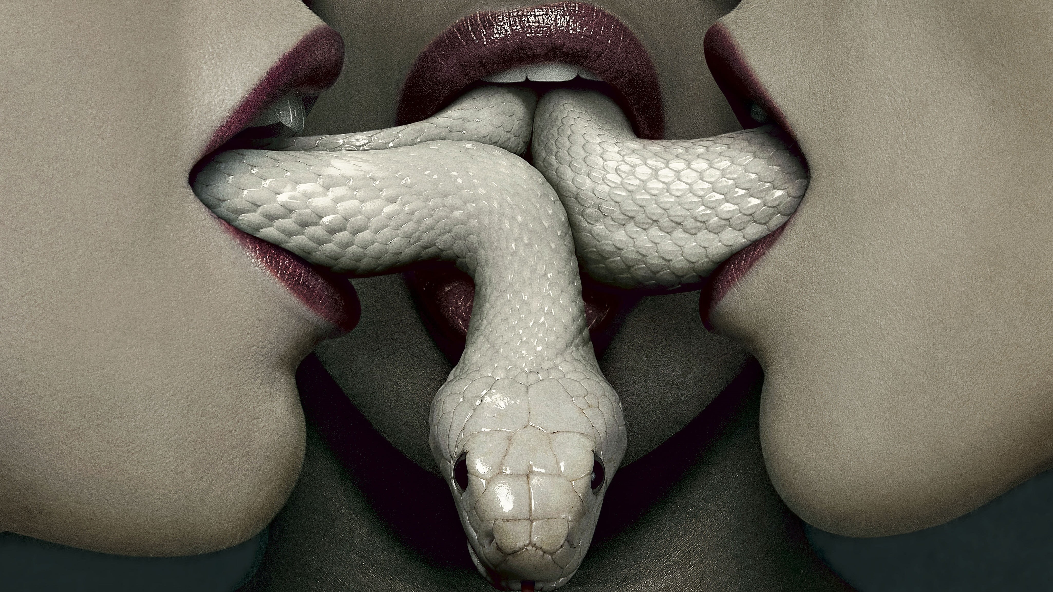 close-up, gray, body part, backgrounds, art and craft, animal body part, American Horror Story, snake, vertebrate, people, reptile, creativity, horror, HD Wallpaper