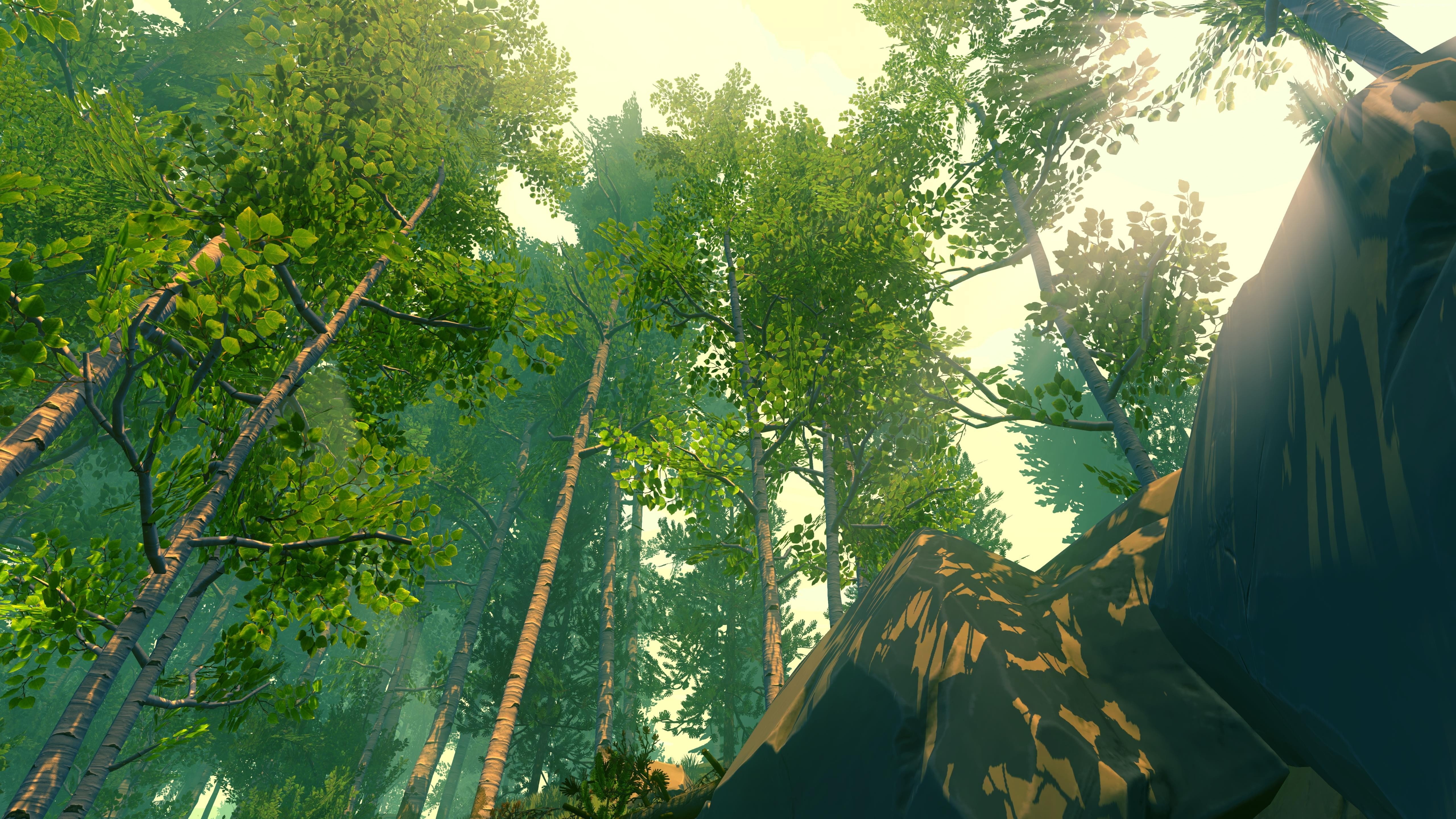horror, quest, 5K, game, PS4, PC, Firewatch, Best Games, HD Wallpaper