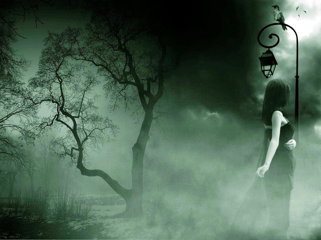 fog, full length, one person, dress, Gothic, spooky, walking, adult, post, water, night, near, lamp, branch, tree, real people, nature, women, mist, outdoors, HD Wallpaper
