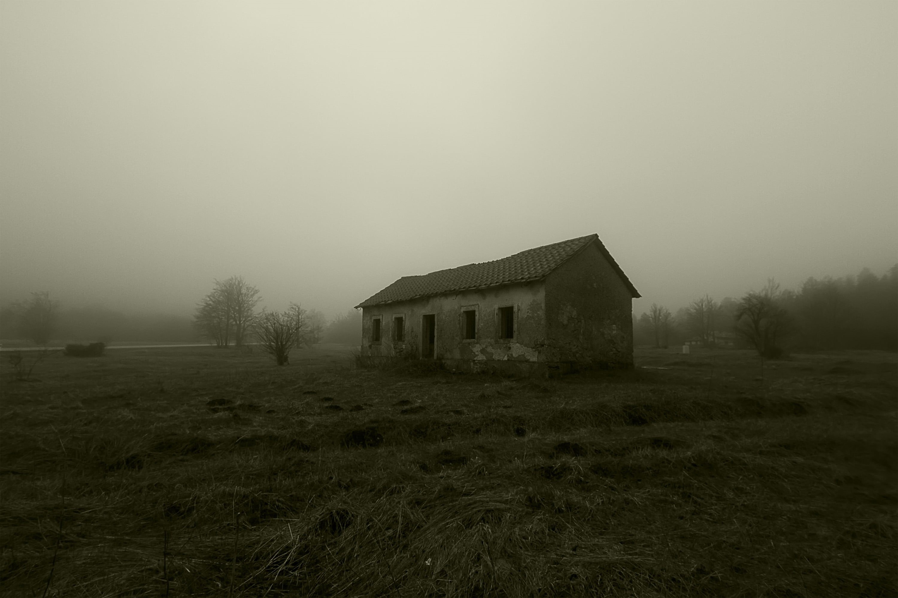house, nature, fog, architecture, grass, copy space, 2K, outdoors, no people, field, sky, built structure, spooky, plant, environment, tranquility, tree, HD Wallpaper