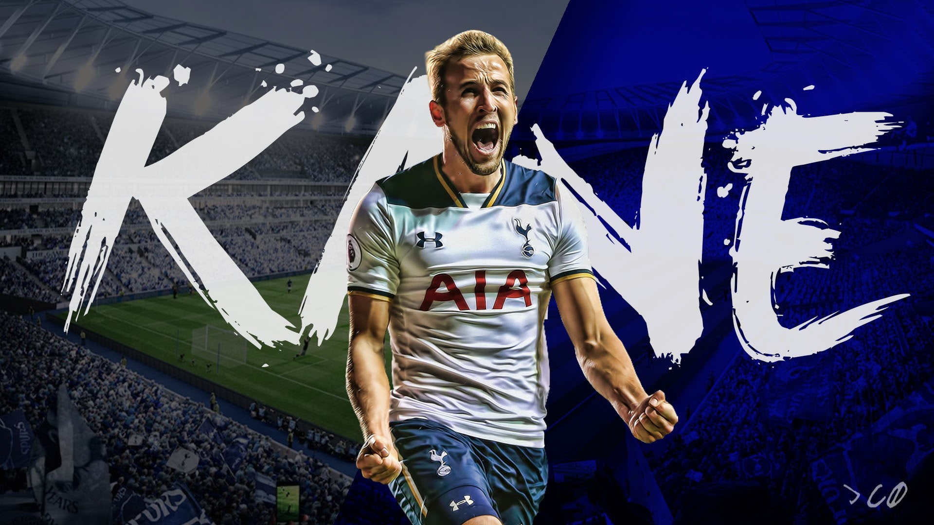 Tottenham Hotspur, Harry Kane, 1080P, soccer, HD Wallpaper