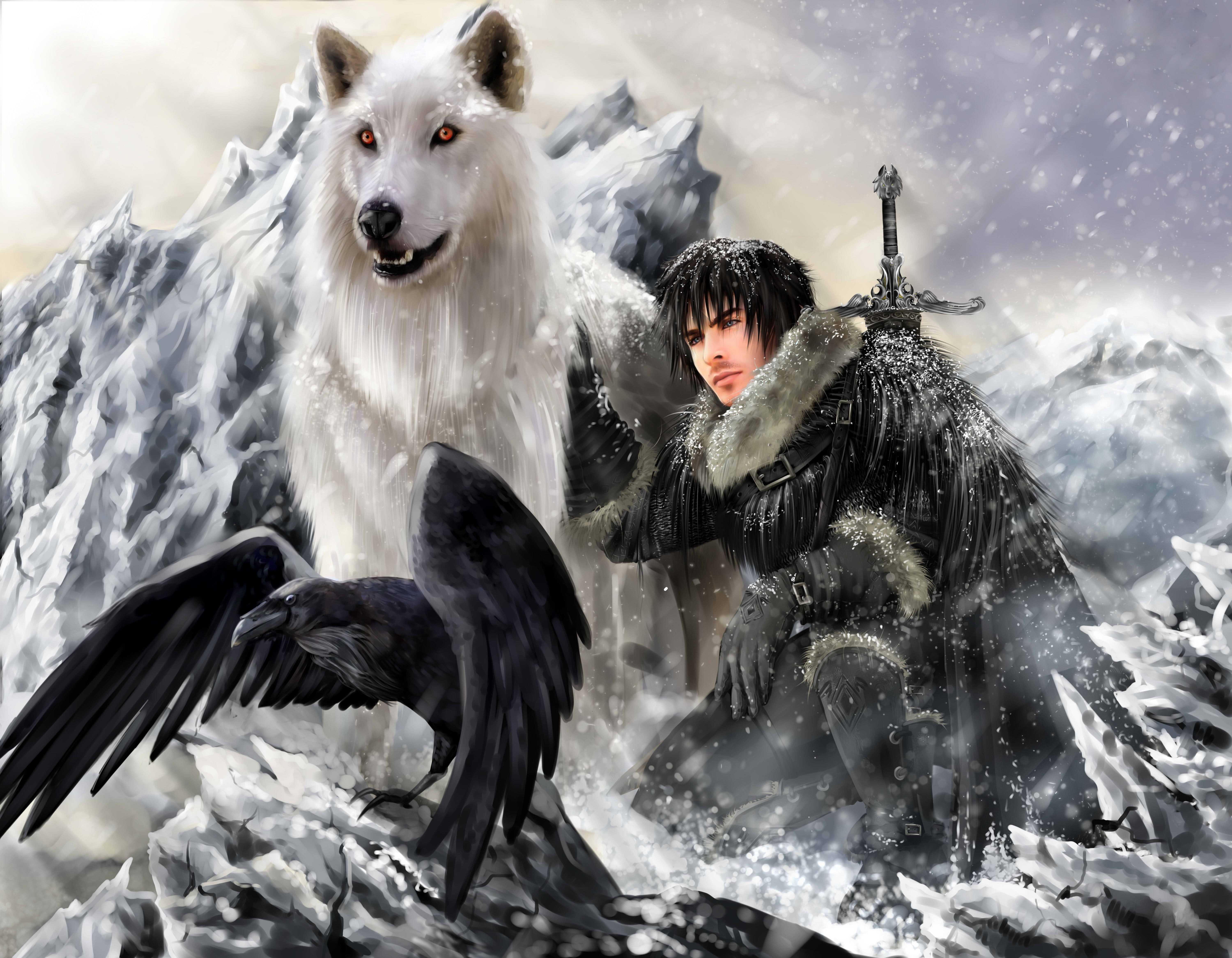 snowing, crow, the song of ice and fire, direwolf, animal wildlife, sky, sword, ghost, nature, jon snow, winter, mammal, vertebrate, people, bird, wolf, HD Wallpaper