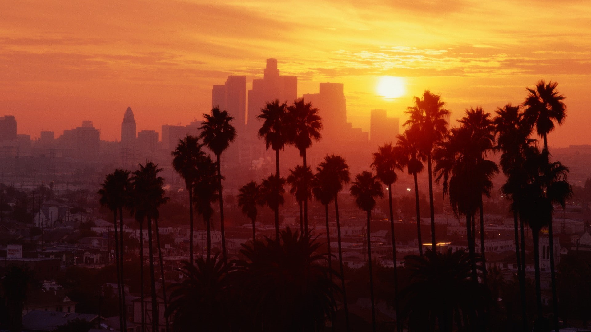 palm trees, Los Angeles, 1080P, sunset, HD Wallpaper