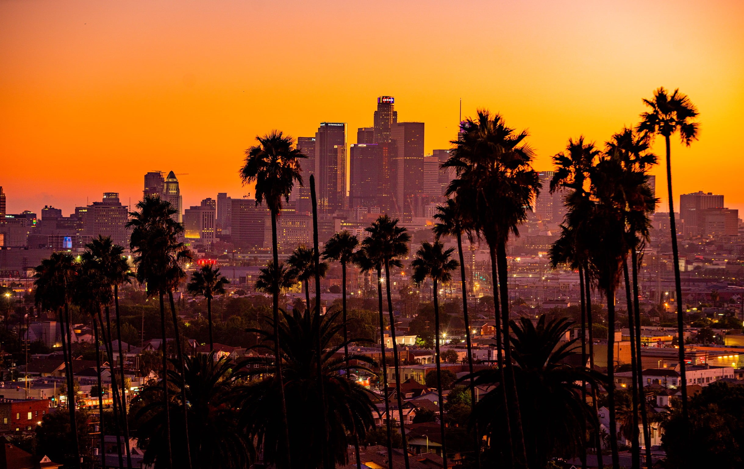 Los Angeles, 1080P, landscape, palm trees, city, sunset, skyscraper, building, HD Wallpaper