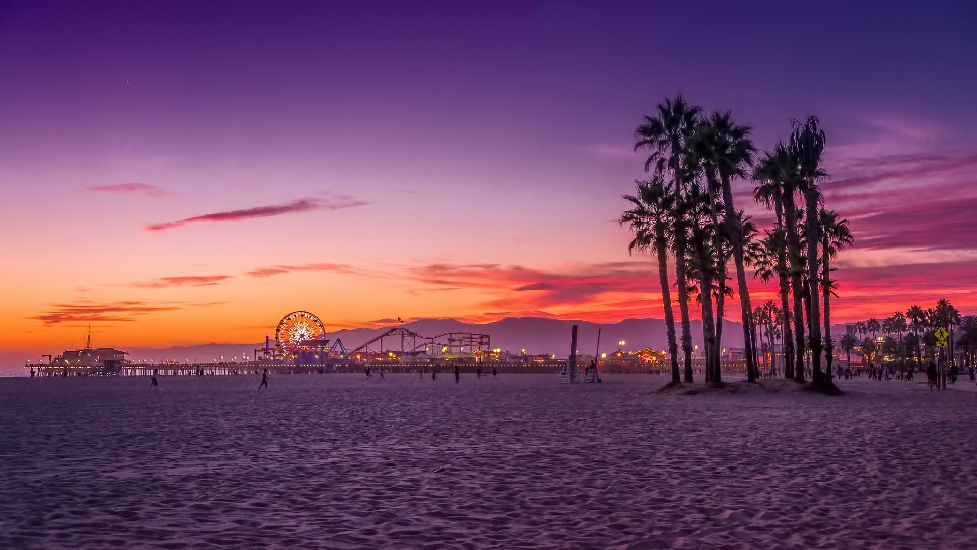 Los Angeles, 1080P, palm trees, beach, HD Wallpaper