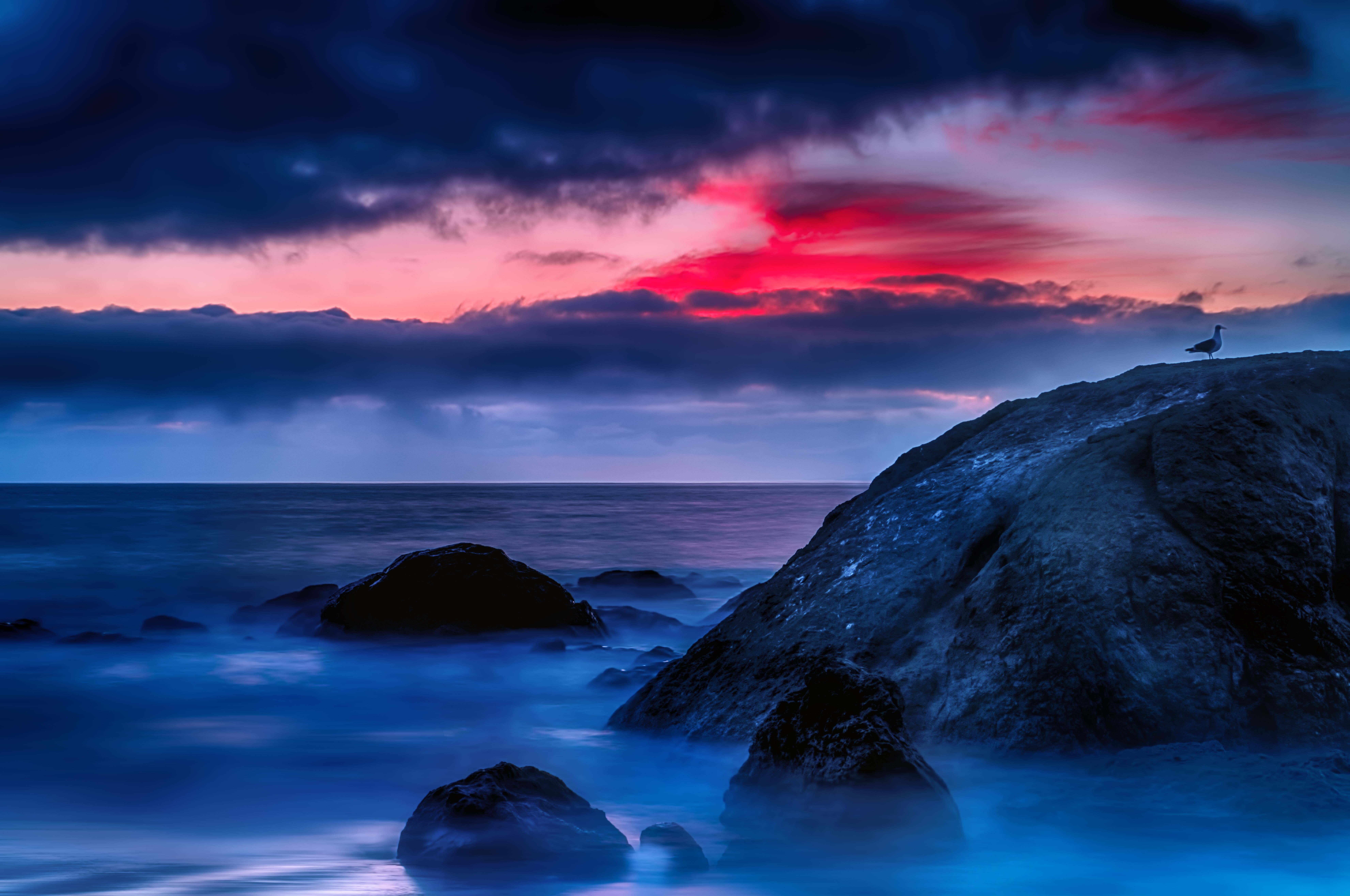 scenics, beach, beside, dusk, Bird, sea, landscape, foggy, wave, body, seascape, body of water, water, 8K, mountains, sunset  beach, coastline, sunset, HD Wallpaper