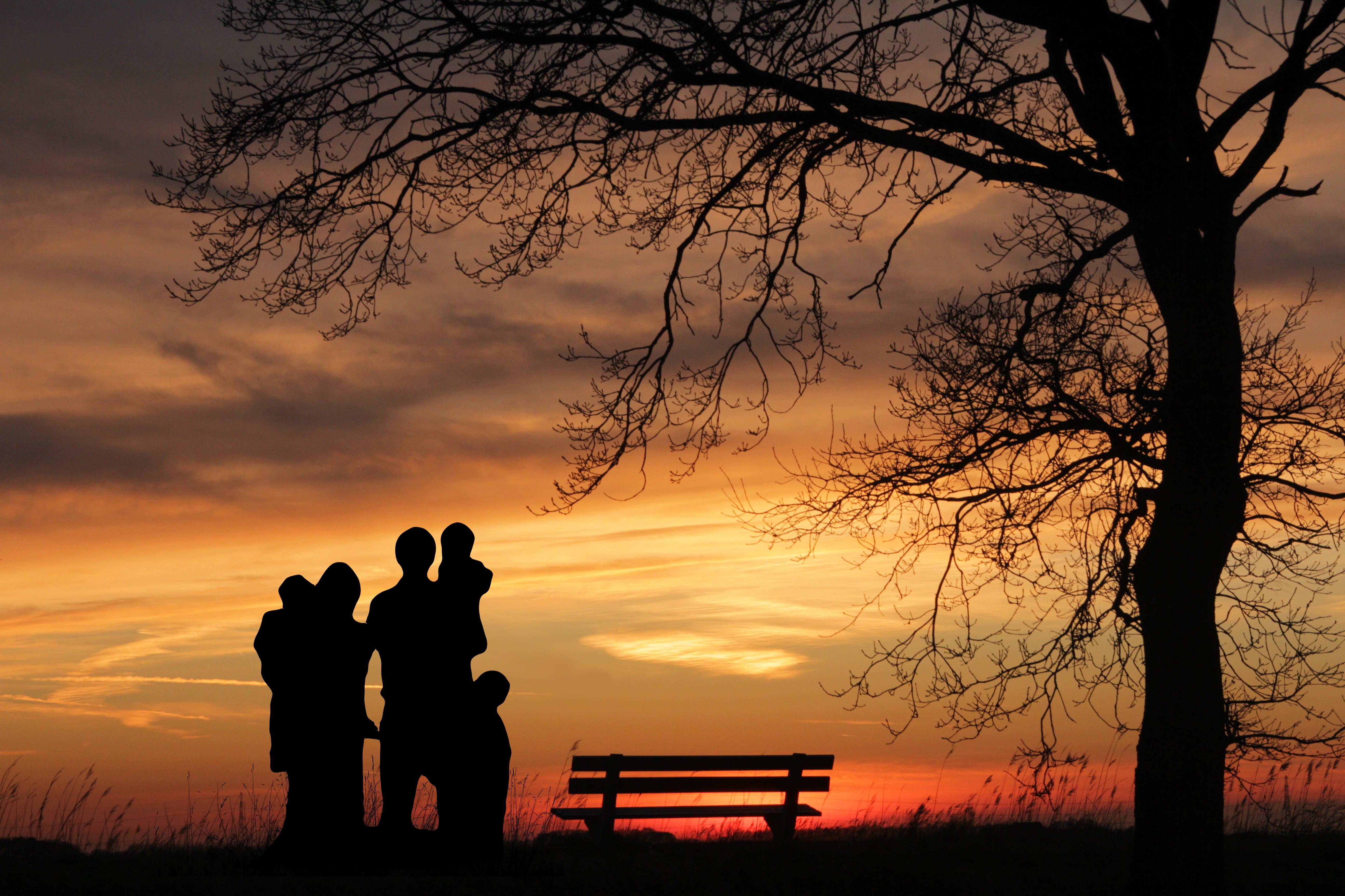 center, standing, quandary, nationals, partnership, mother, nature, partner, child support, family, scenics - nature, figures, hartz, children, leisure activity, HD Wallpaper