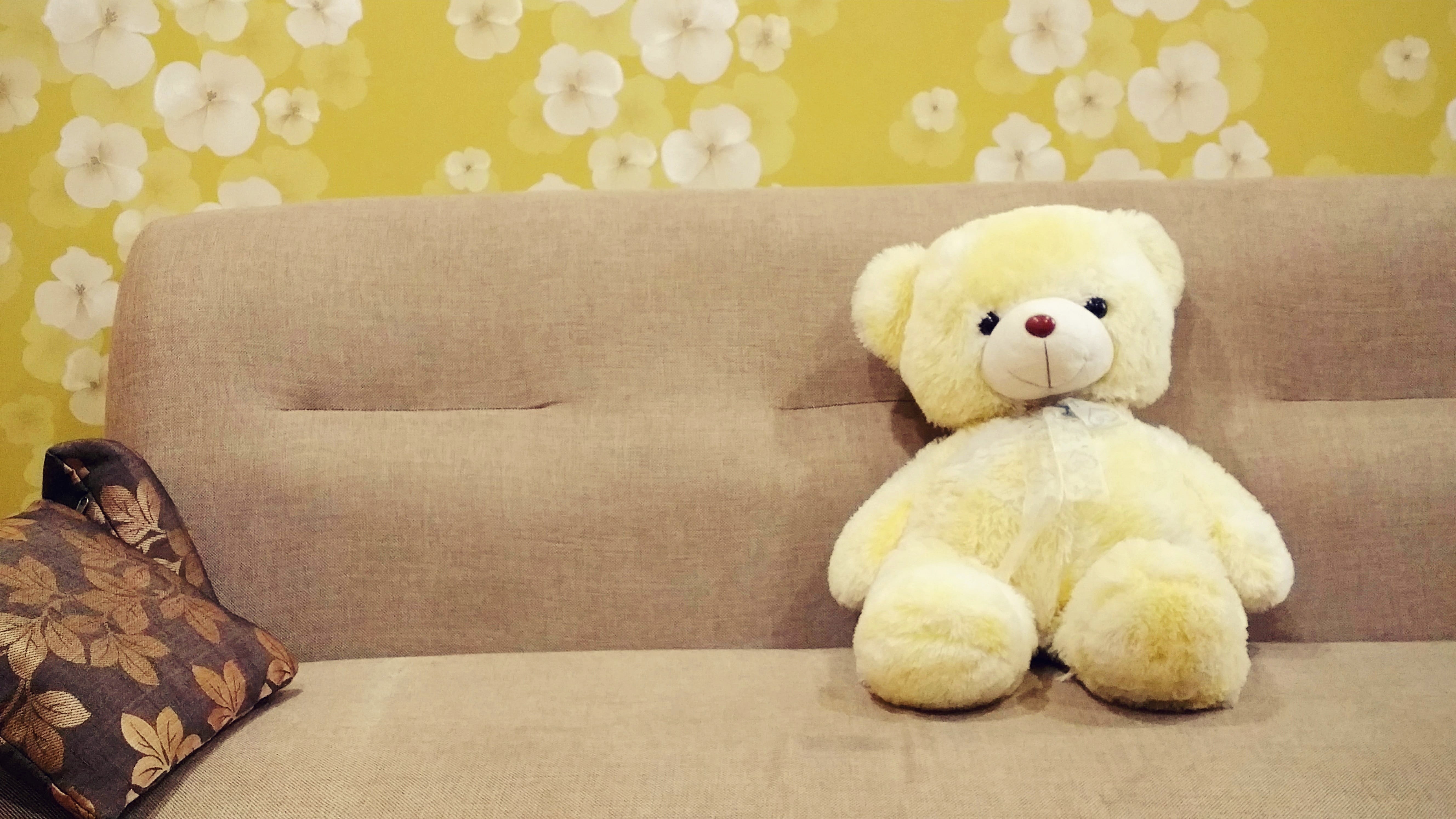 domestic room, kids toy, close-up, wall, table, relaxation, living room, indoors, white, soft toy, pillow, yellow, toy, stuffed, flower, HD Wallpaper