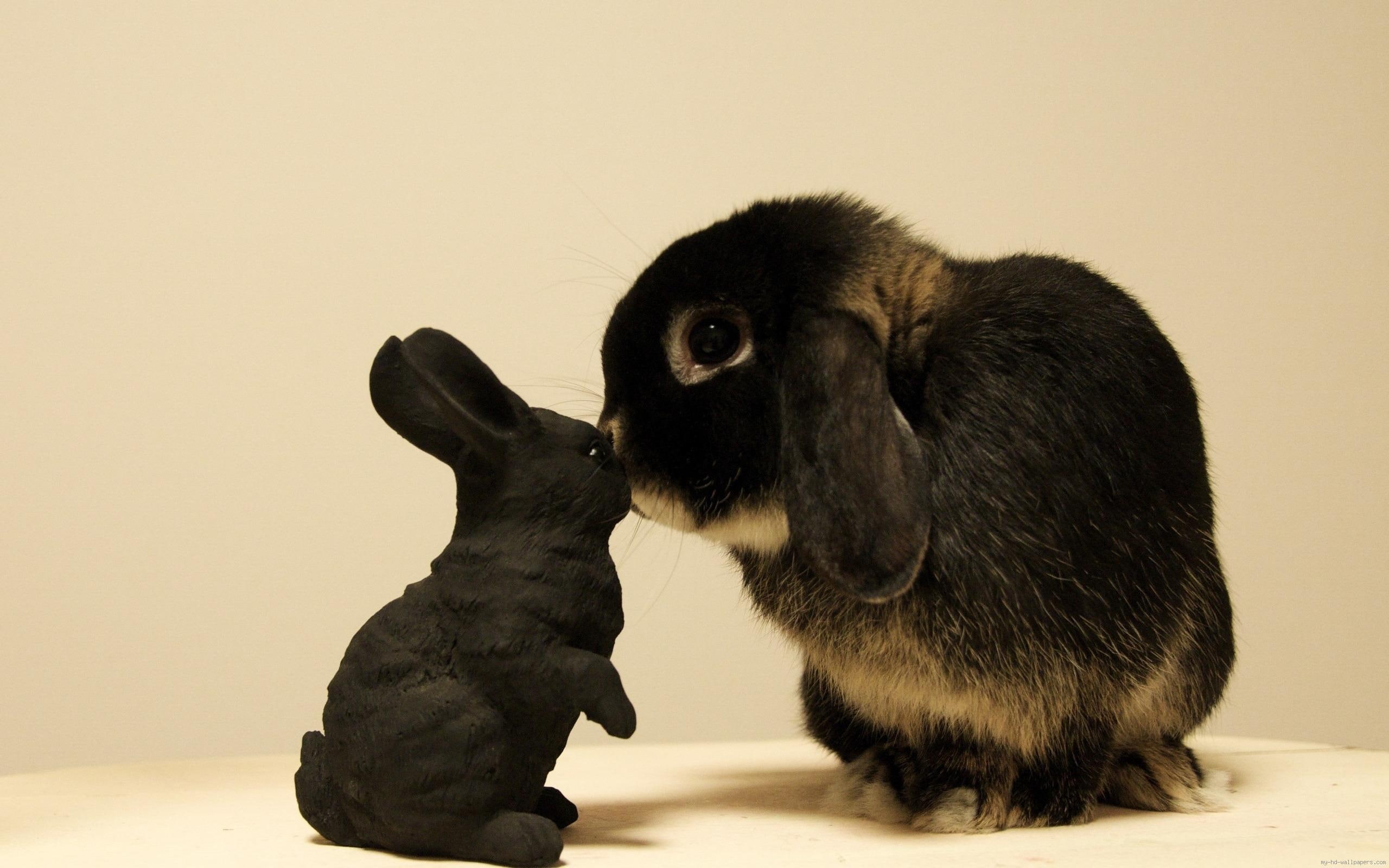 love, bunny, fun, kiss, rabbit, figurine, 2K, black, gray, animal, HD Wallpaper