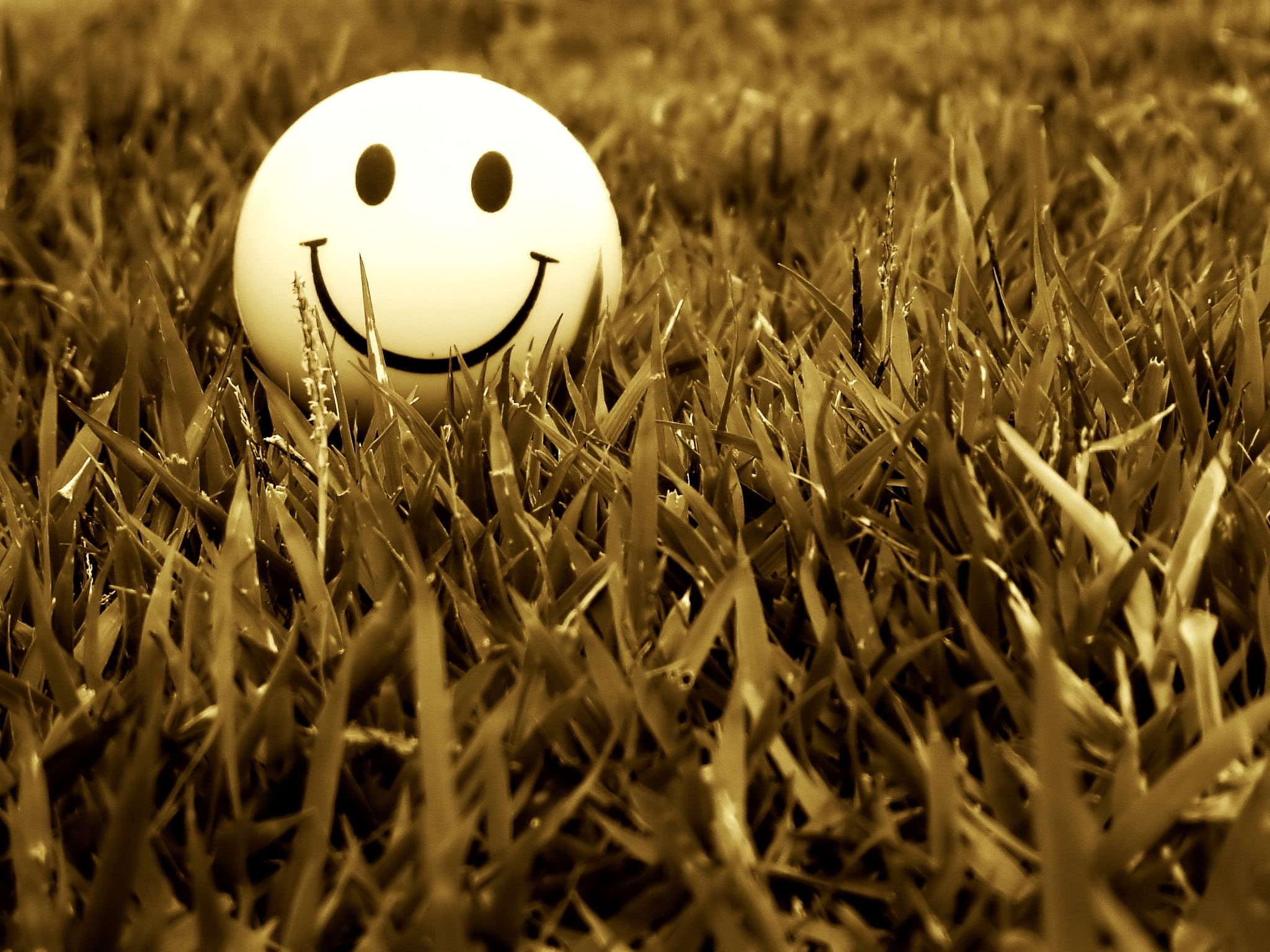 happiness, smiling, emoji, art and craft, no People, representation, human representation, plant, springtime, single object, animal Egg, nature, anthropomorphic smiley face, HD Wallpaper