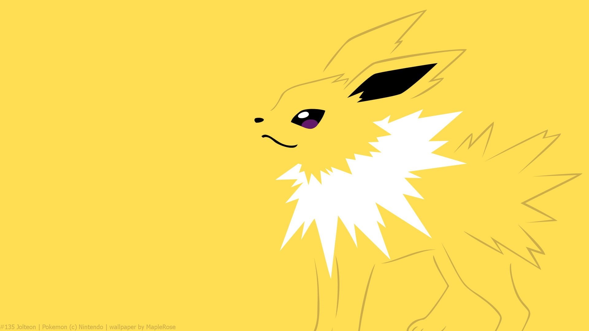 jolteon, animals in the wild, flying, mid-air, outdoors, beauty in nature, studio shot, 1080P, animal, no people, vertebrate, Eeveelutions, pokemon, black color, HD Wallpaper