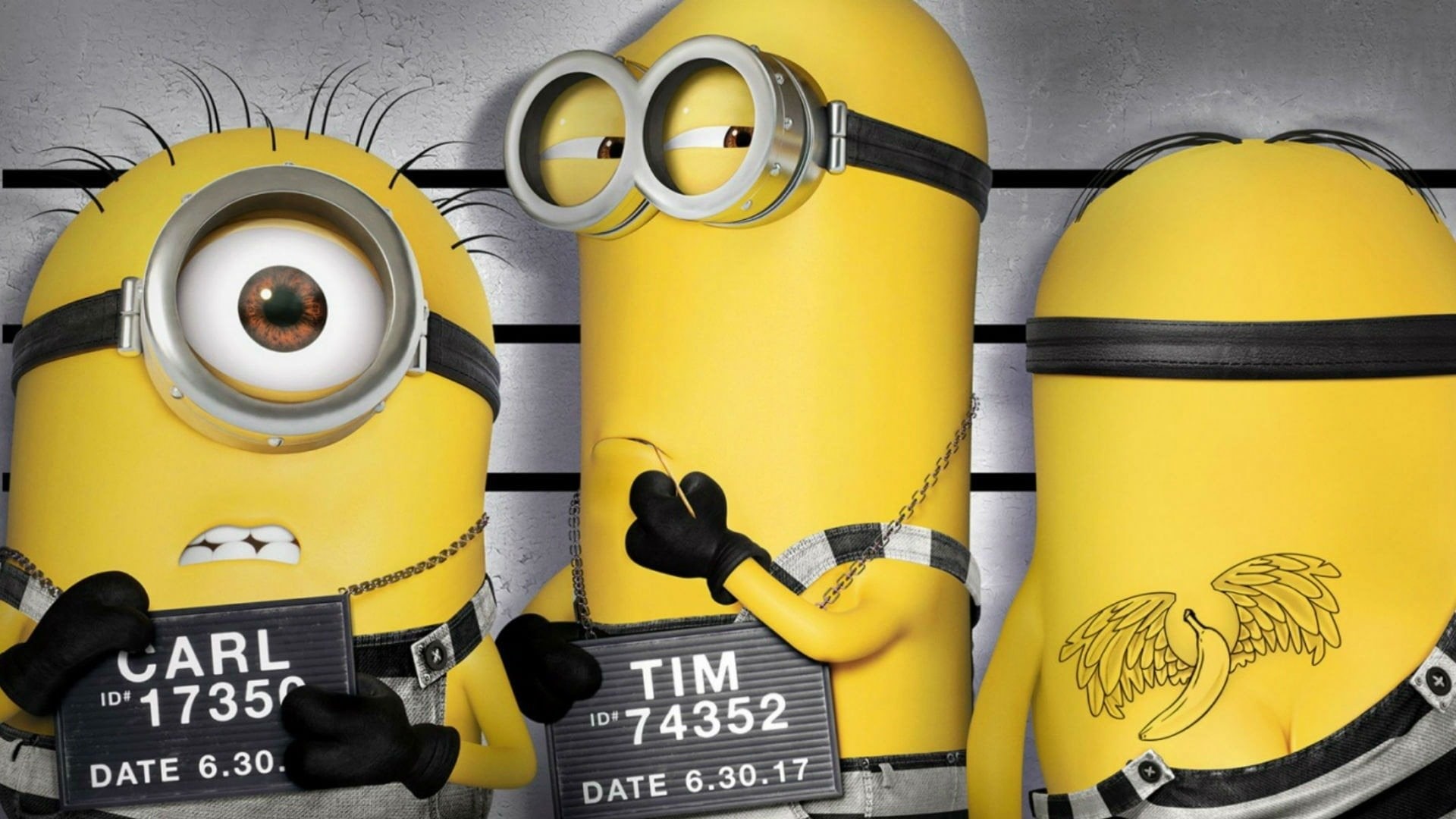 choice, sign, Movie, indoors, large group of objects, wall - building feature, 1080P, yellow, multi colored, group, text, Stuart (Minions), arrangement, HD Wallpaper