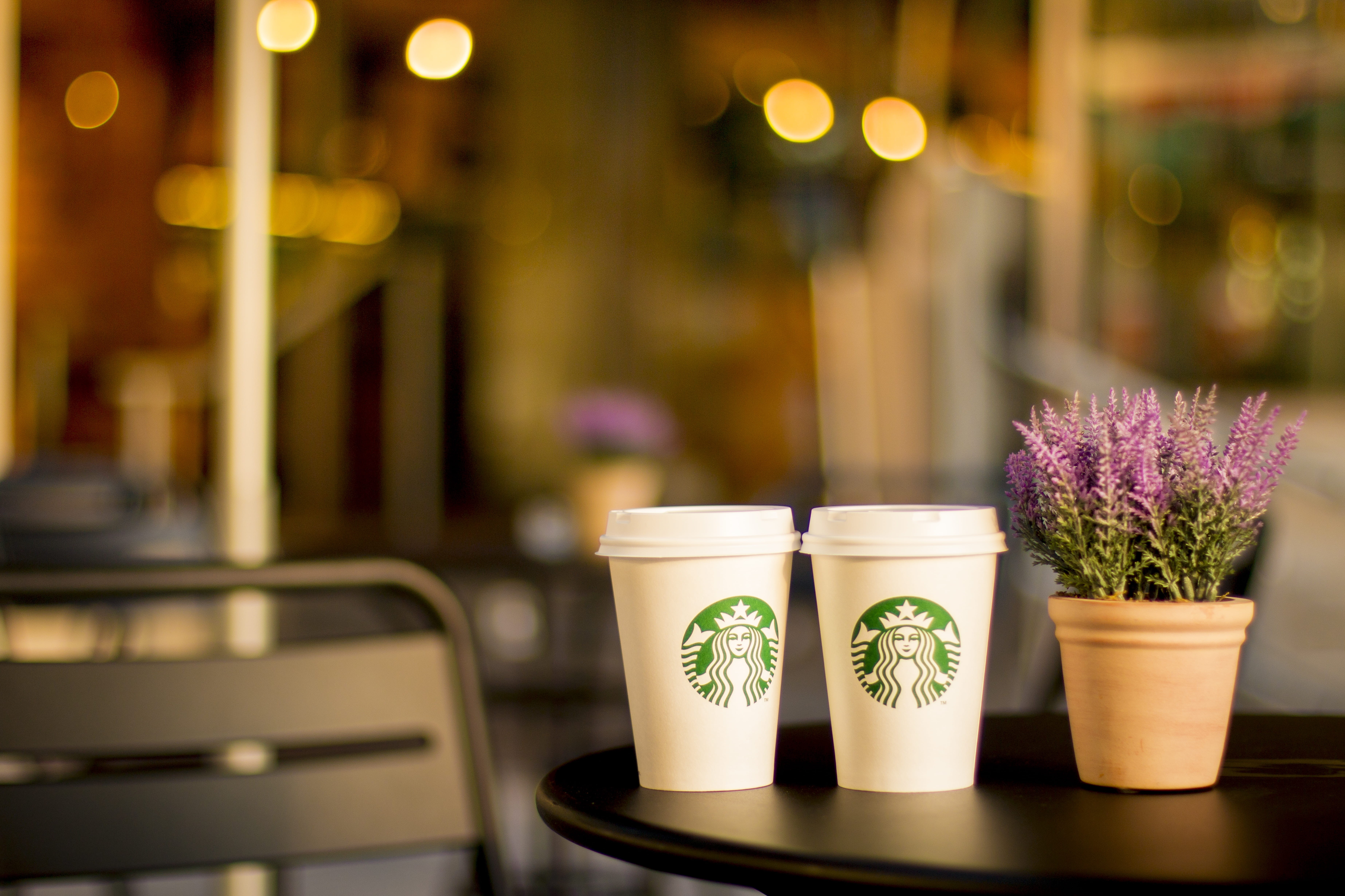 chain, cups, cup, flowering plant, beside, business, freshness, restaurant, two, potted plant, black, coffee, table, round, indoors, brown, tea, flower pot, HD Wallpaper