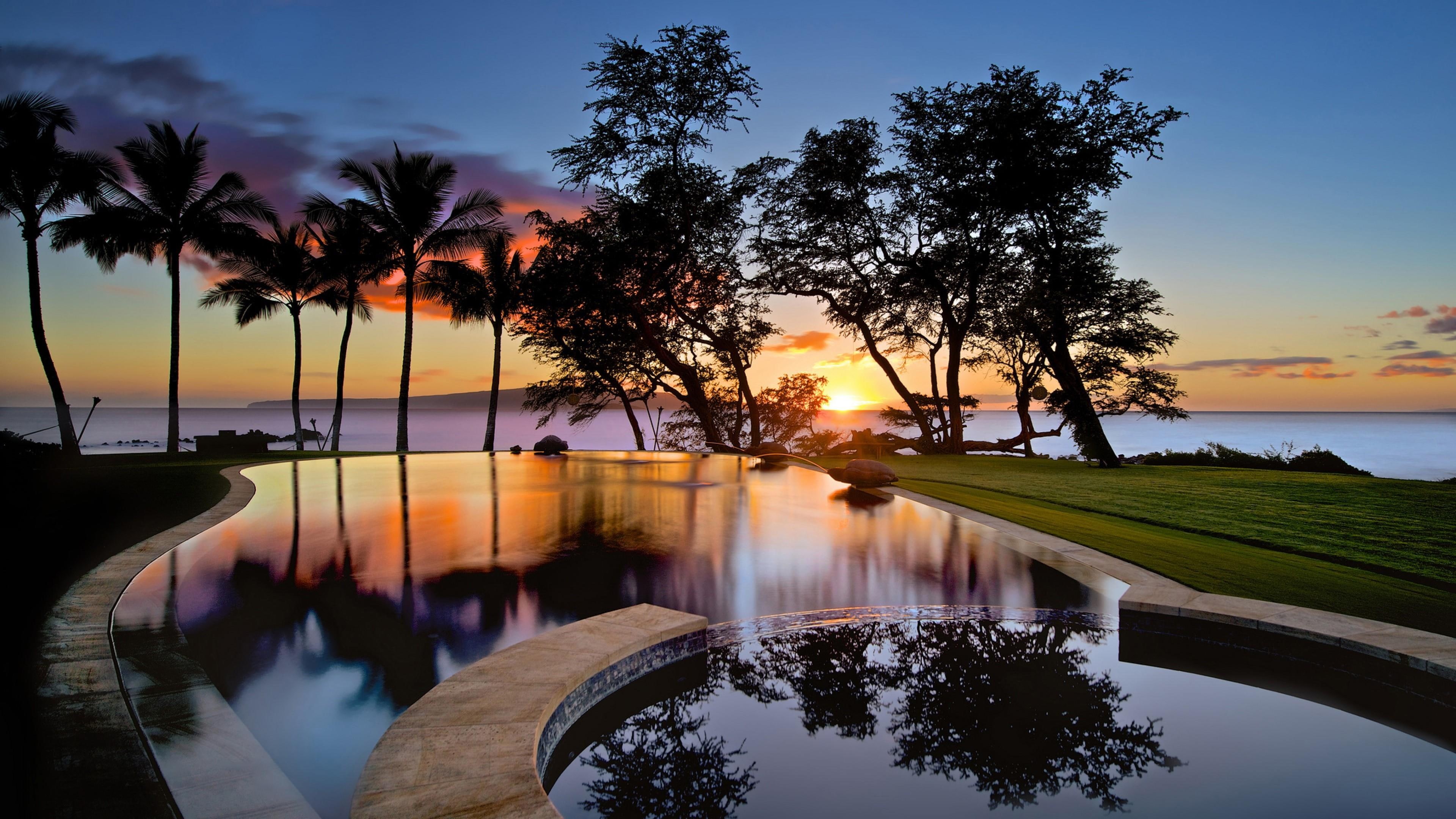 resort, lifestyle, pool, reflected, palms, summer, 4K, HD Wallpaper
