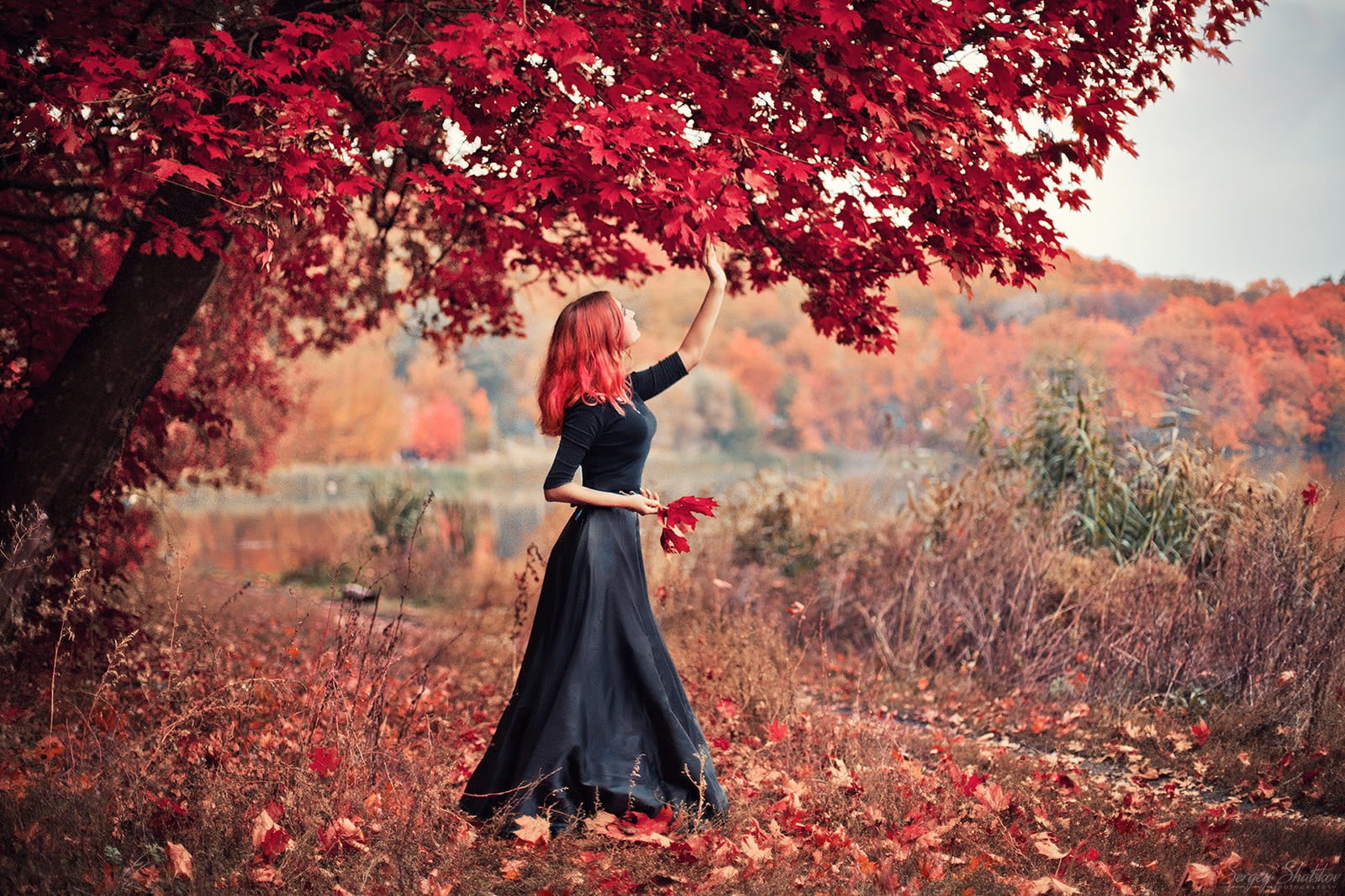 trees, sleeved, adult, outdoors, 720P, plant, standing, dress, young women, people, red, autumn, young Adult, lifestyles, portrait, smiling, beautiful, HD Wallpaper