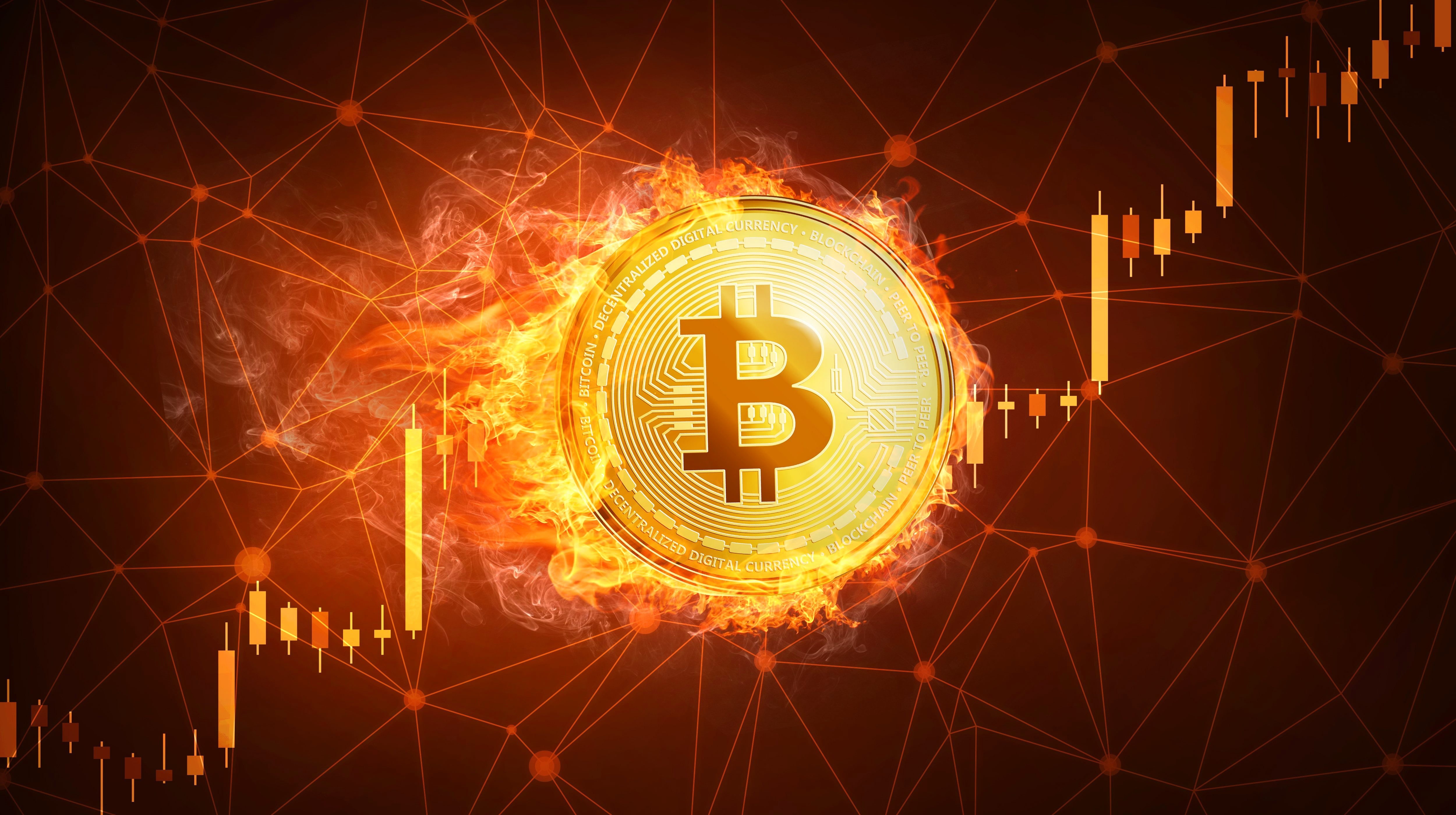 Money, Cryptocurrency, Coin, Bitcoin, 4K, Technology, HD Wallpaper