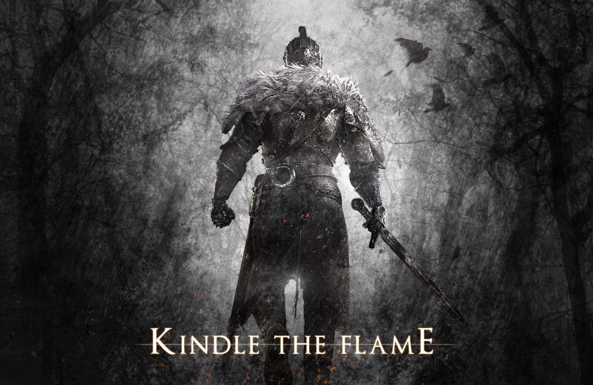 video games, text, weapon, communication, rear view, celebration, sword, digital art, armed forces, textured effect, Dark Souls II, the past, 1080P, fantasy art, HD Wallpaper