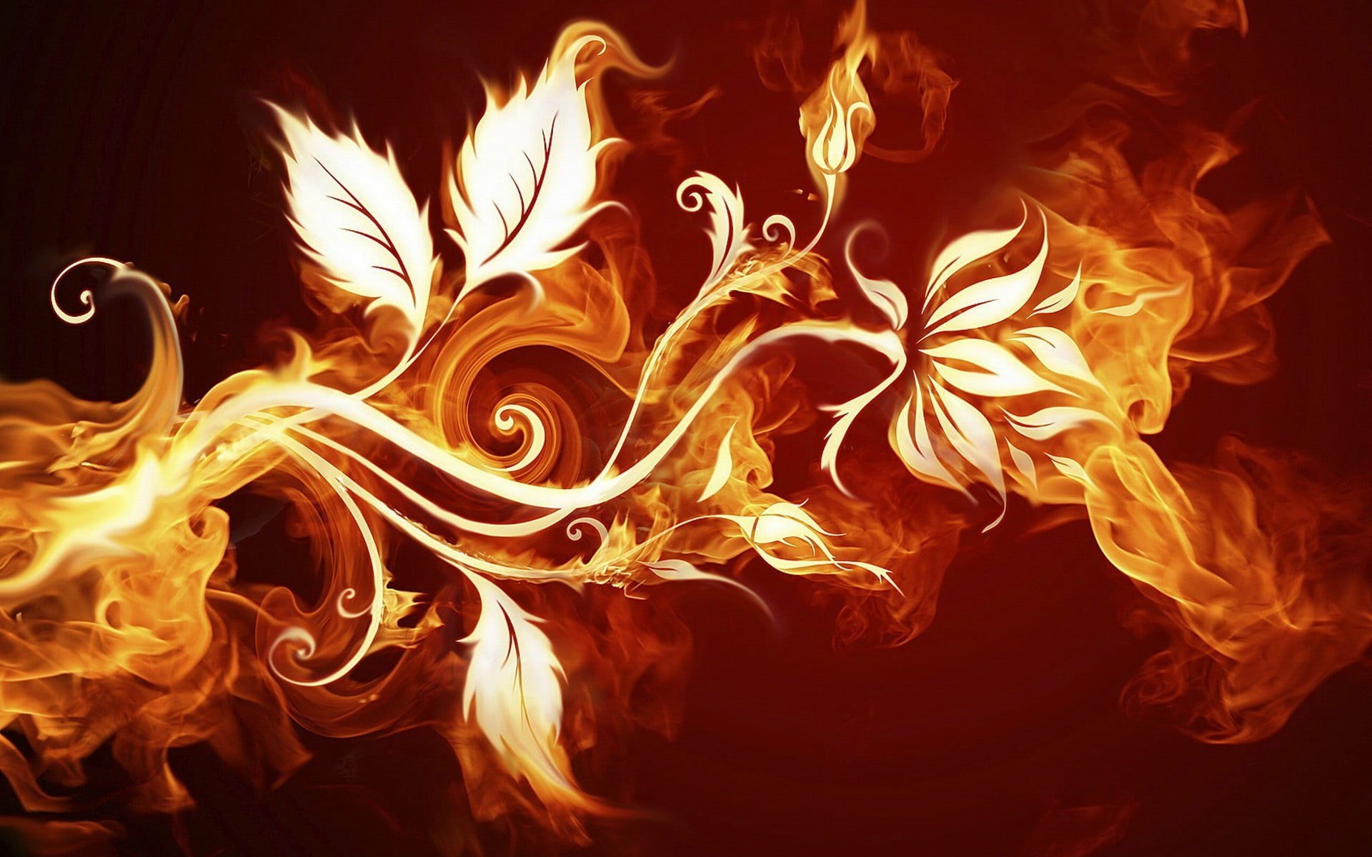 campfire, leaves, burnt, fire, danger, flower, glowing, studio shot, yellow, heat - Temperature, abstract, 1080P, flame, swirl, night, backgrounds, igniting, HD Wallpaper