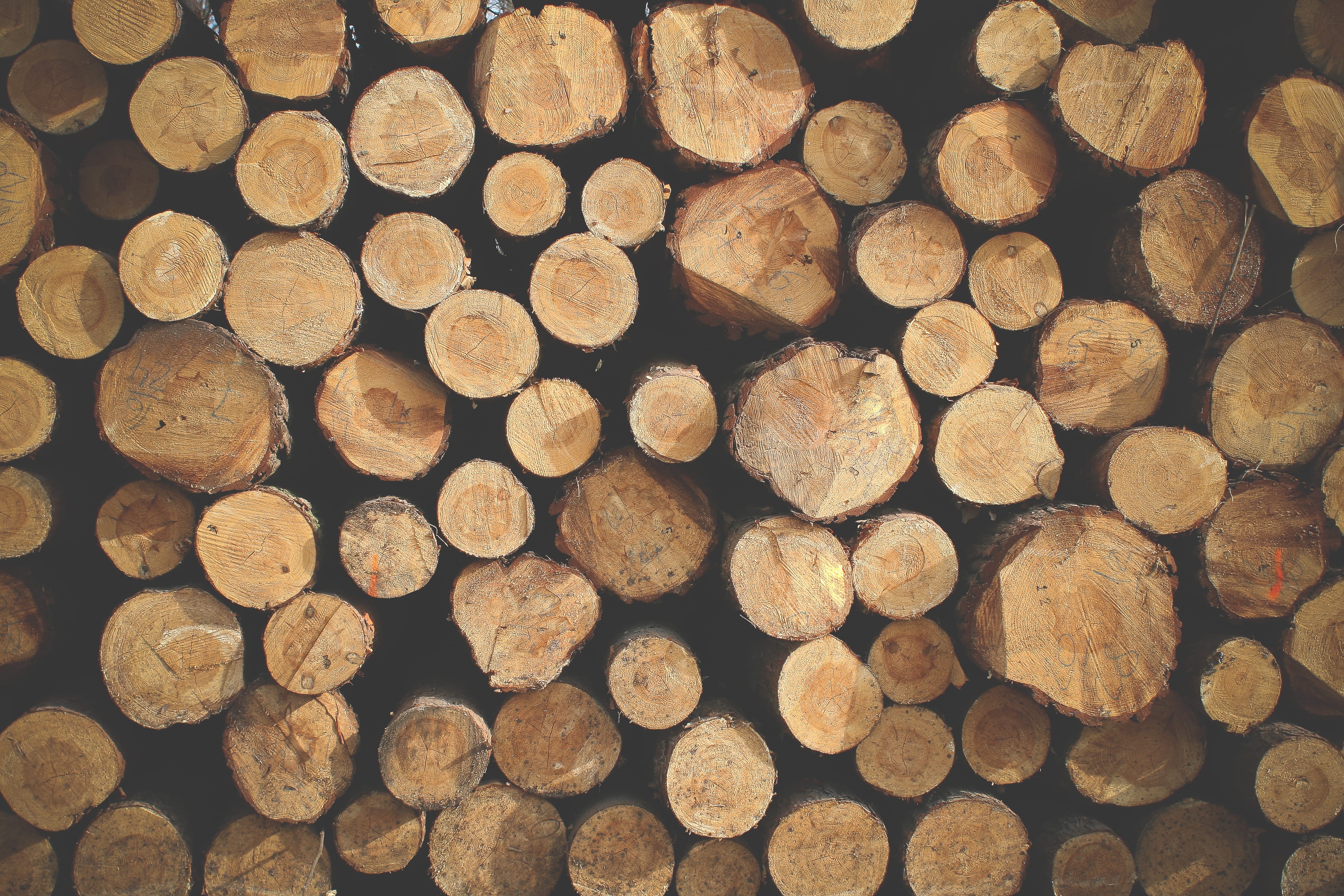 forest, large group of objects, environmental issues, Wood, pattern, wood - Material, lumber Industry, tree, outdoors, stack, log, no people, 4K, circle, HD Wallpaper