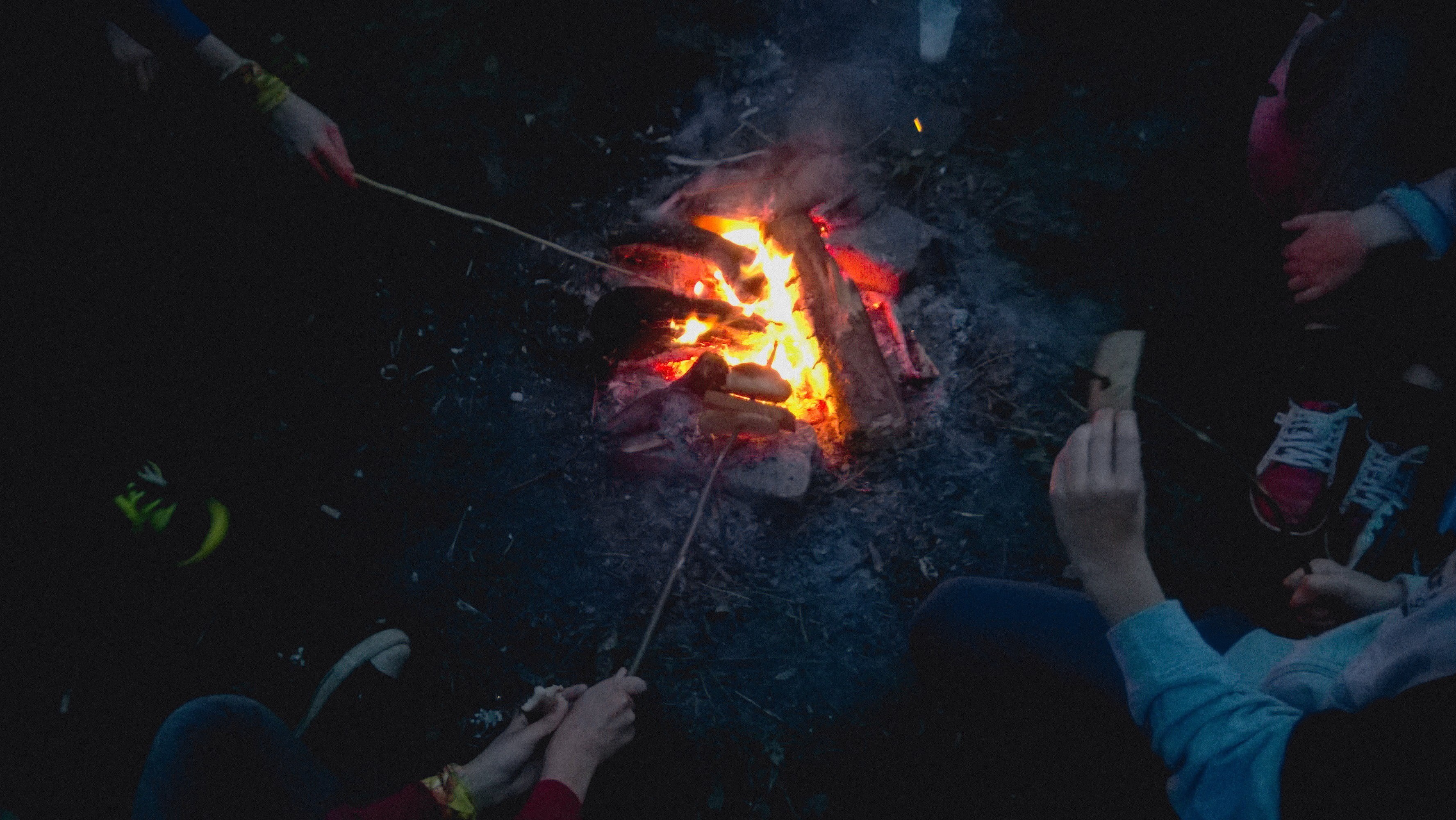 hand, outdoors, human hand, flame, firewood, burning, people, pile, human body part, camping, bonfire, lifestyles, men, campfire, group of people, 2K, HD Wallpaper