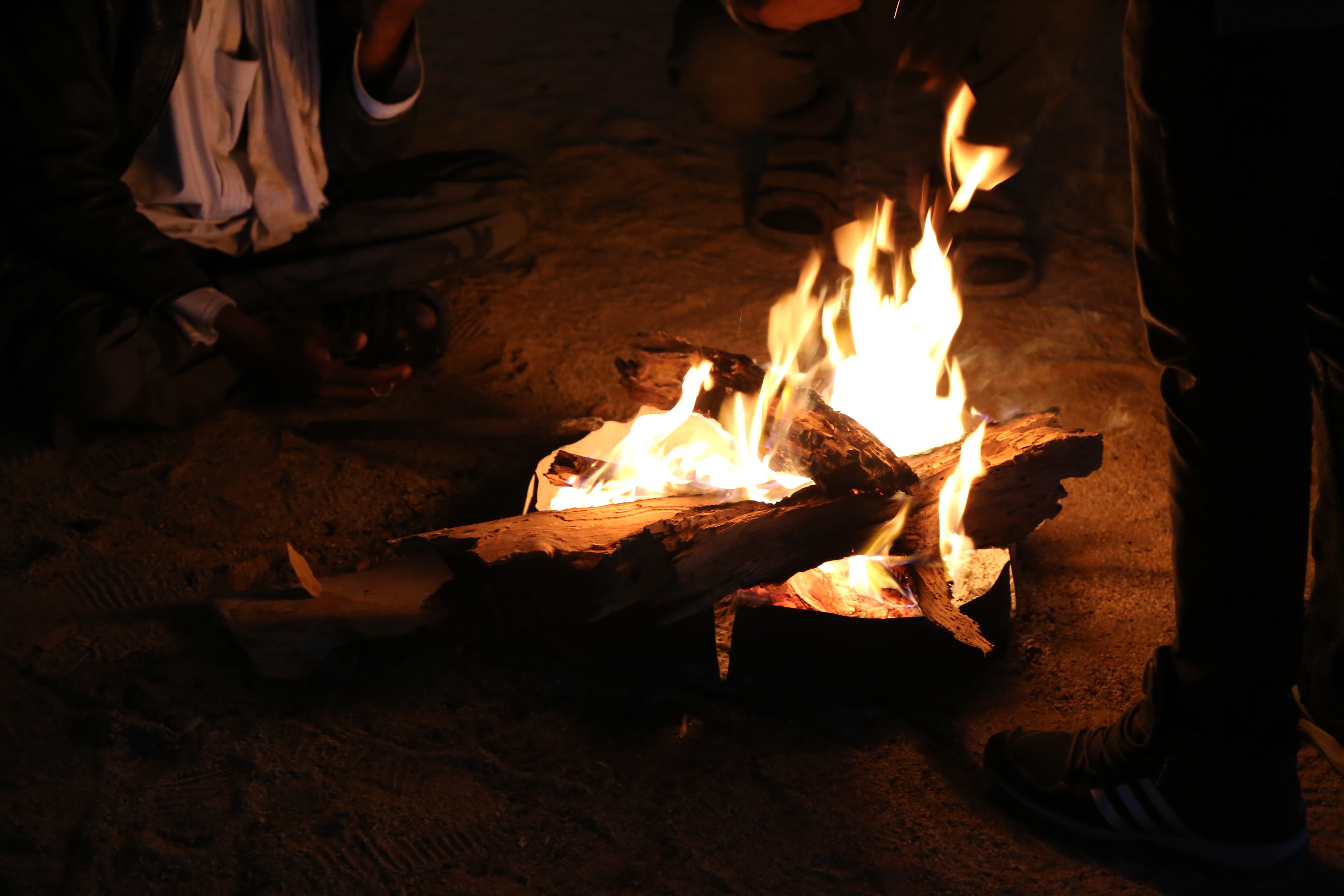 jungle, desert, firewood, nature, bonfire, glowing, close-up, person, 5K, algeria, shoe, wood - material, outdoors, human, night, vegetation, plant, sahara, HD Wallpaper