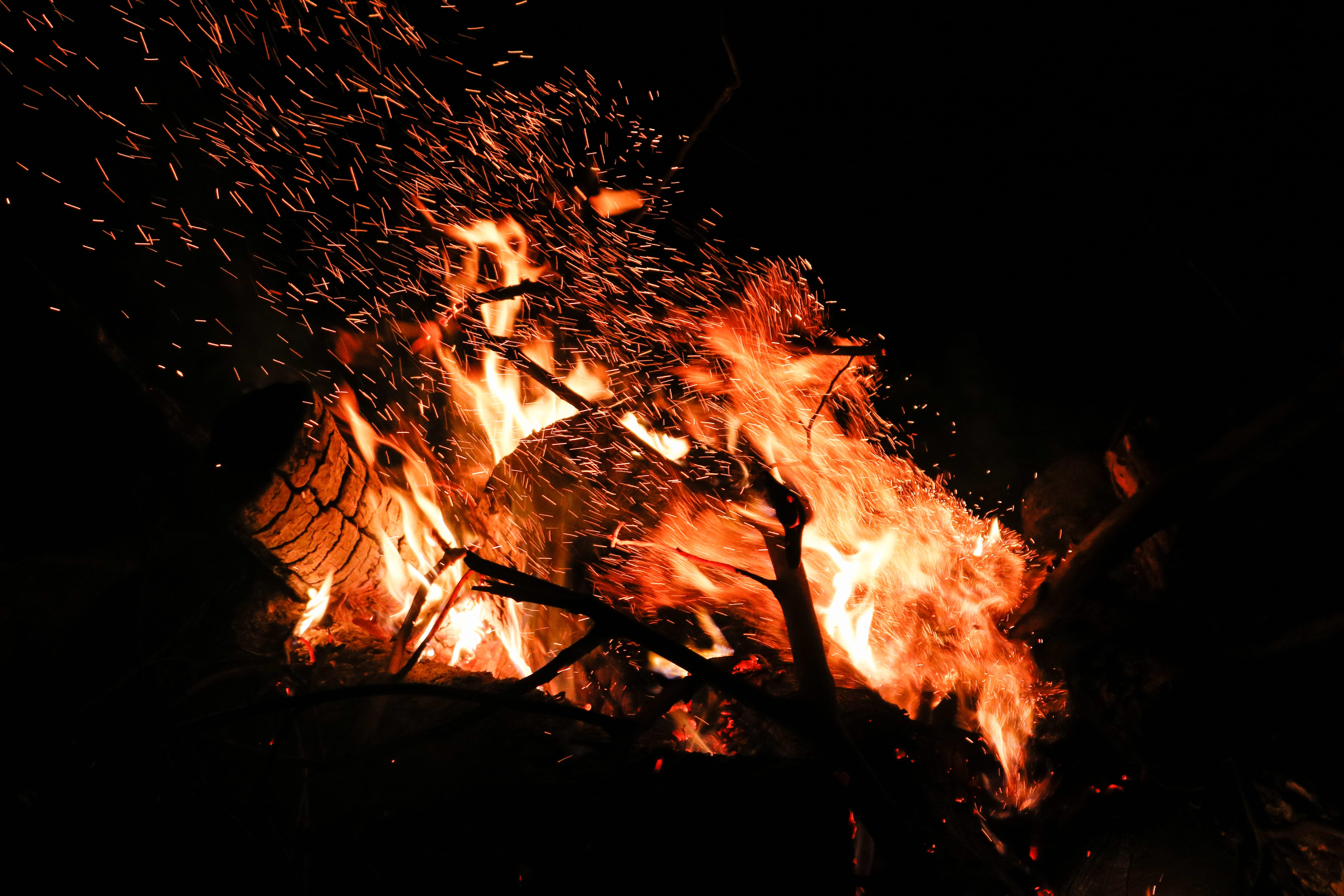 campfire, night, camping, fire, no people, burning, motion, pet, bonfire, nature, terrier, glowing, log, hot, firing, orange color, flame, close-up, woods, HD Wallpaper