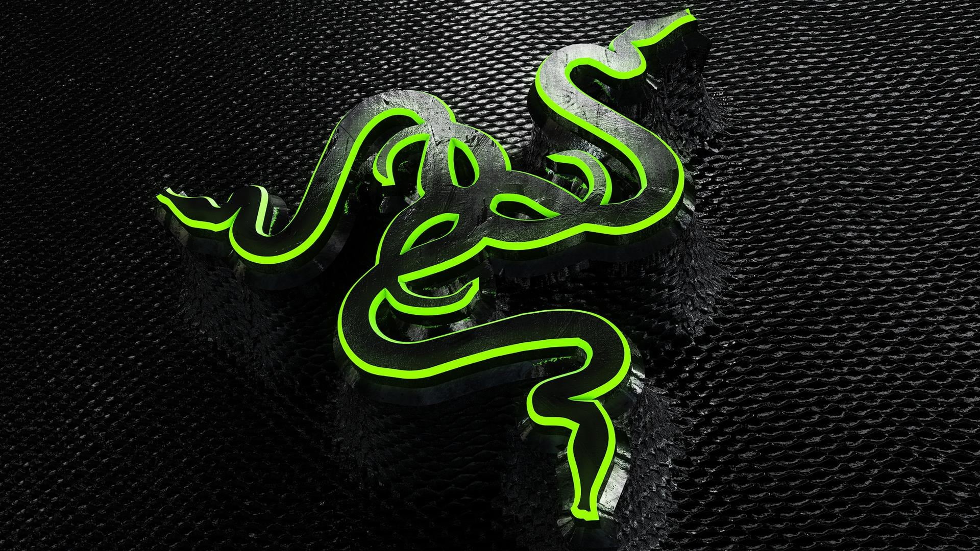 multi colored, one animal, pattern, nature, close-up, studio shot, reptile, communication, extreme close-up, green color, vibrant color, black background, HD Wallpaper