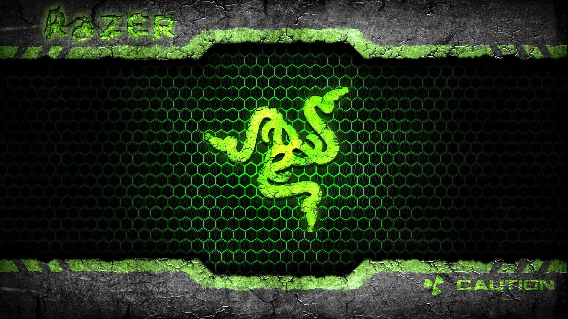 logo, group of animals, nature, animal, number, insect, text, plant, animal themes, green color, animals in the wild, outdoors, animal wildlife, Razer, HD Wallpaper
