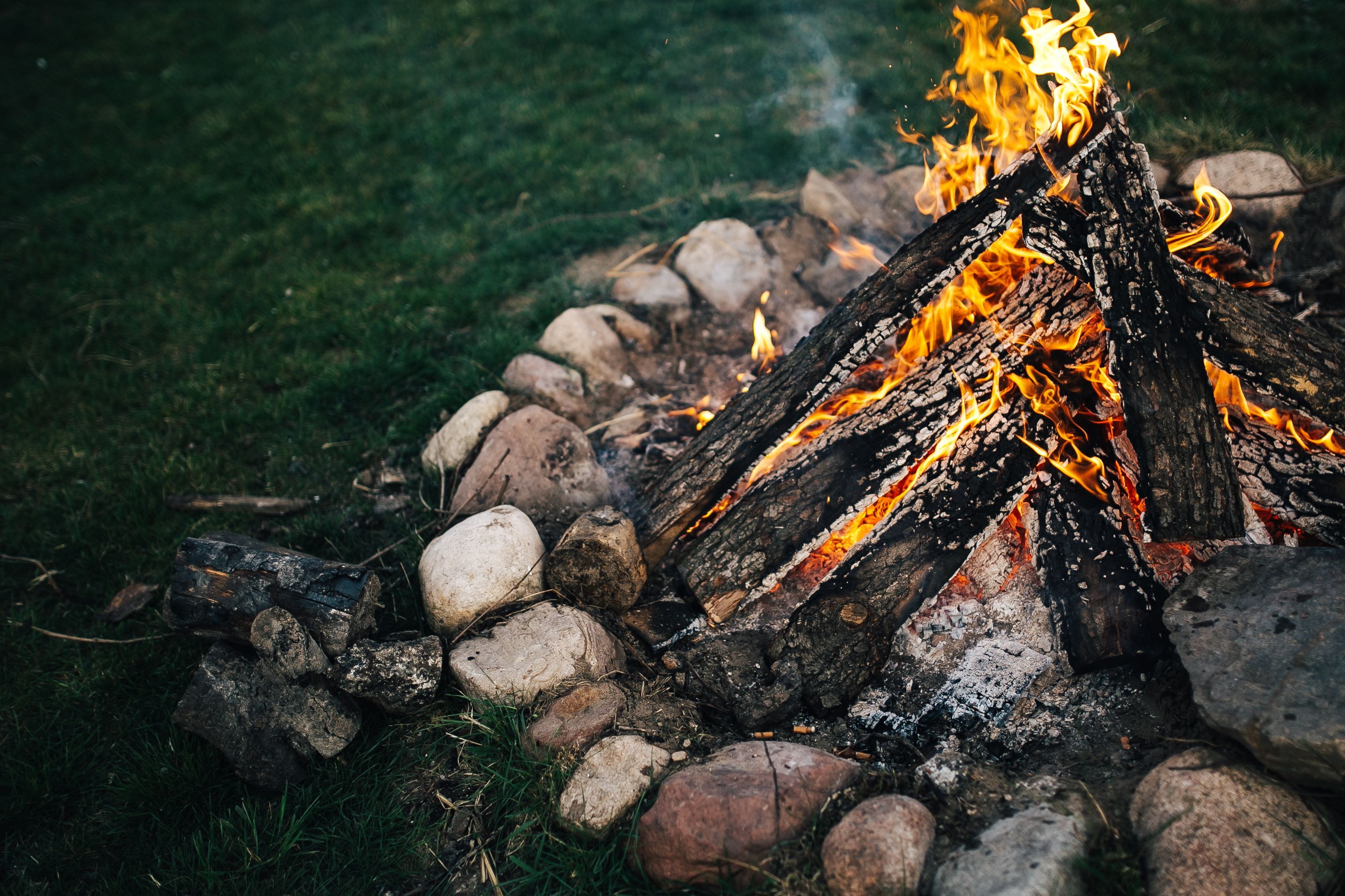 2K, bonfire, smoke, vacations, no people, woods, tree, outside, Campfire, log, camping, heat - Temperature, fire - Natural Phenomenon, plant, wood, day, HD Wallpaper