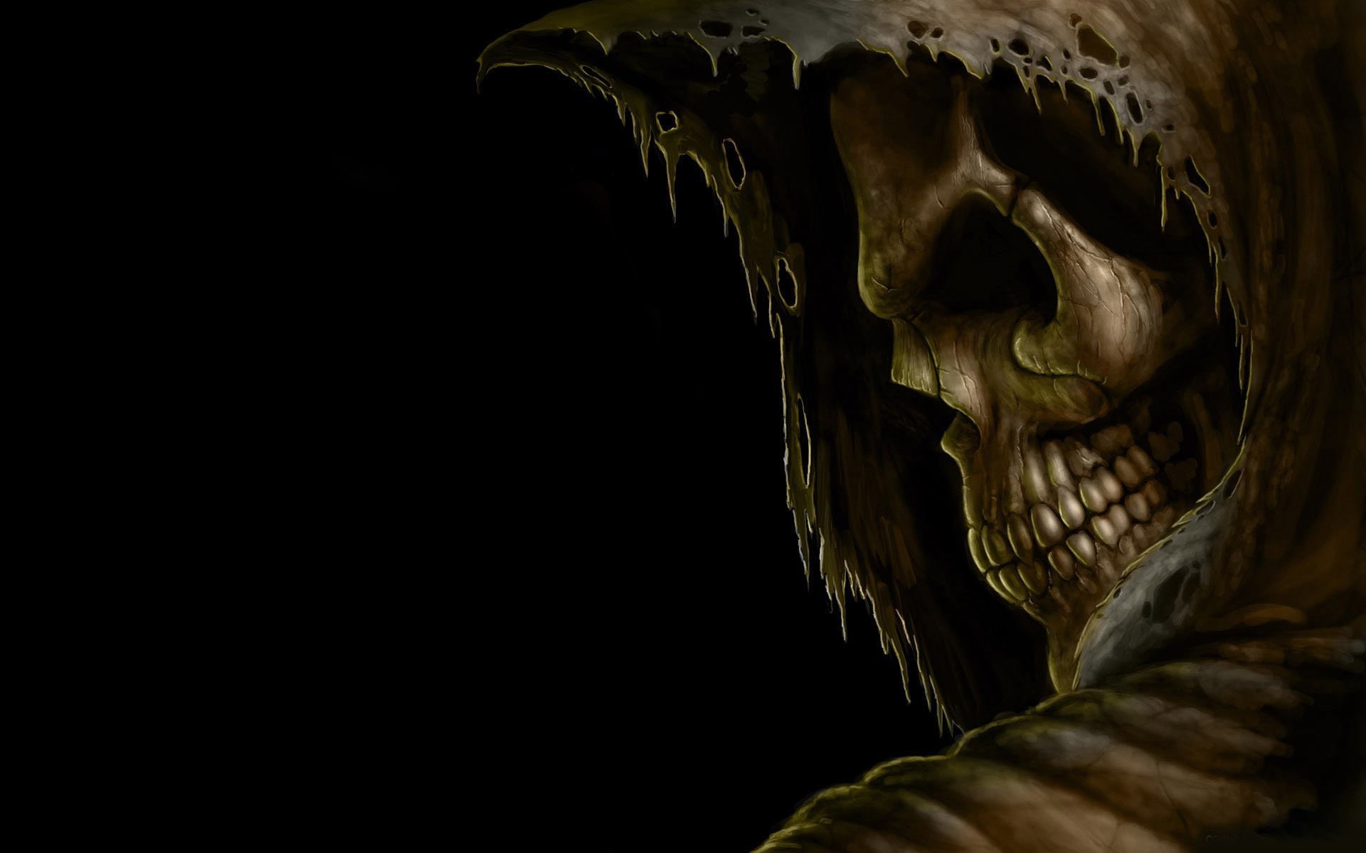 poker, black background, hand of death, animal body part, close-up, indoors, copy space, creativity, skull, fantasy art, nature, Grim Reaper, bone, skeleton, HD Wallpaper