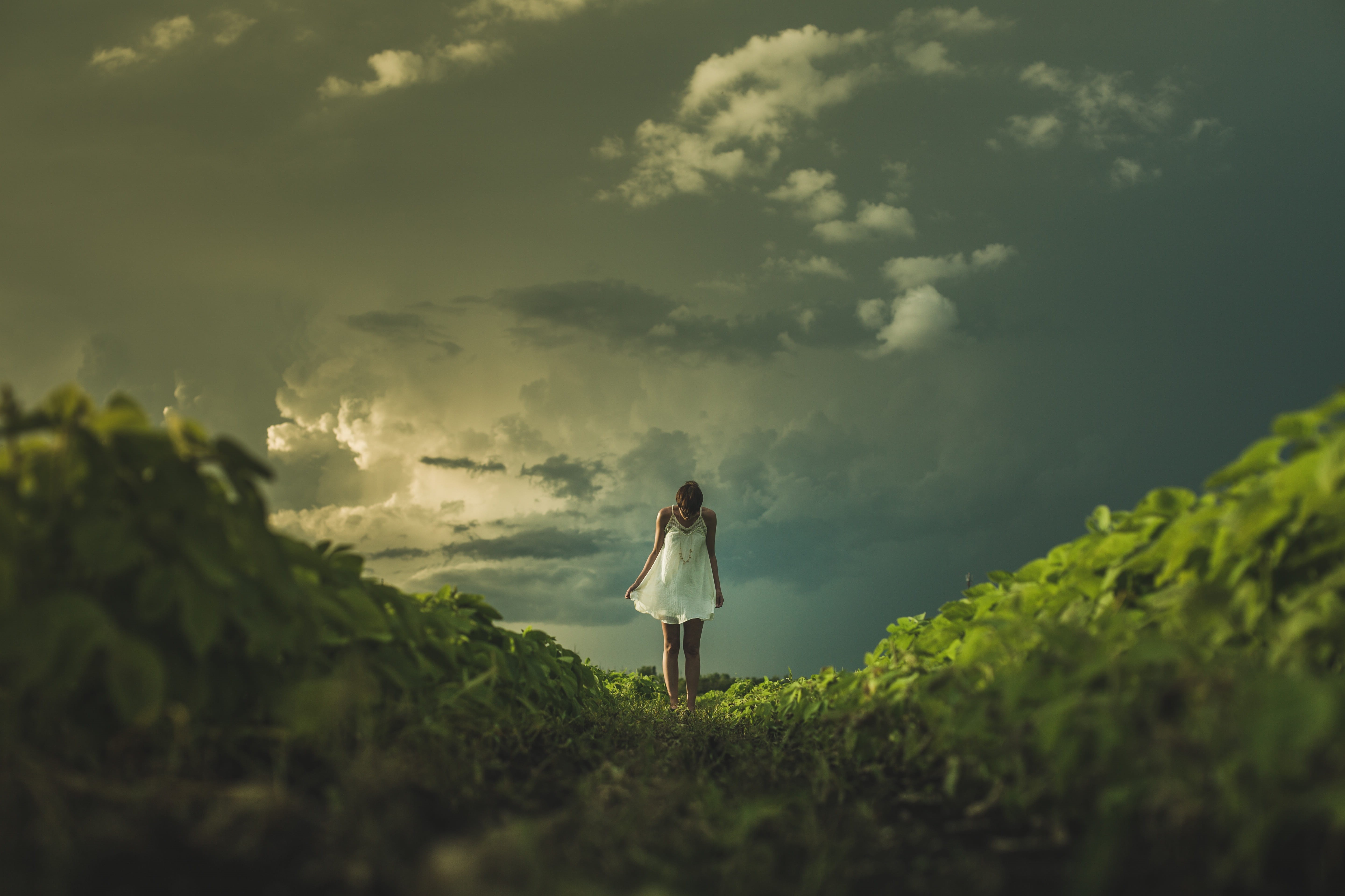 lifestyles, land, dress, people, full length, woman, cloud - sky, wearing, walking, day, caucasian Ethnicity, real people, standing, field, green color, HD Wallpaper