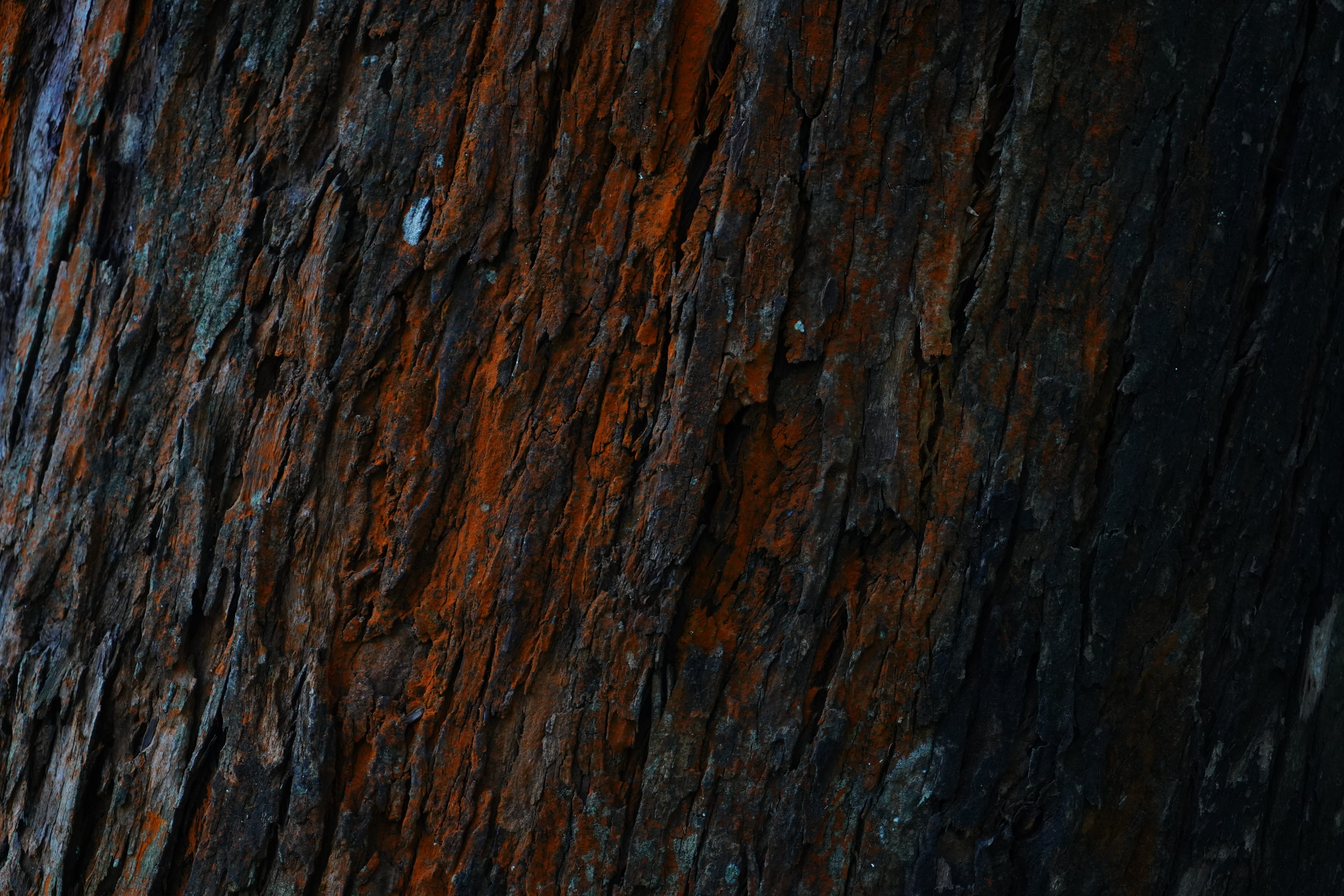 weathered, full frame, no people, wall - building feature, hardwood, photography, desk, outdoors, wood - material, textured effect, nature, textured, brown, HD Wallpaper