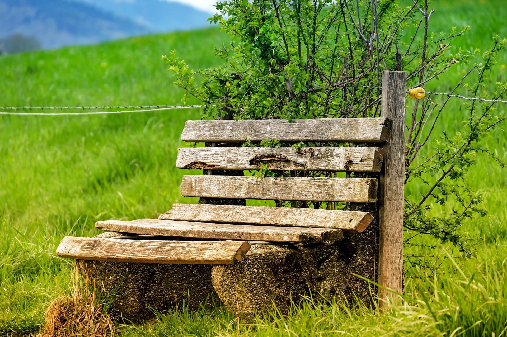no people, nature, landscape, wooden, agriculture, mountain, lapsed, outdoors, wood - Material, grass, environment, park bench, bench, tree, green Color, HD Wallpaper