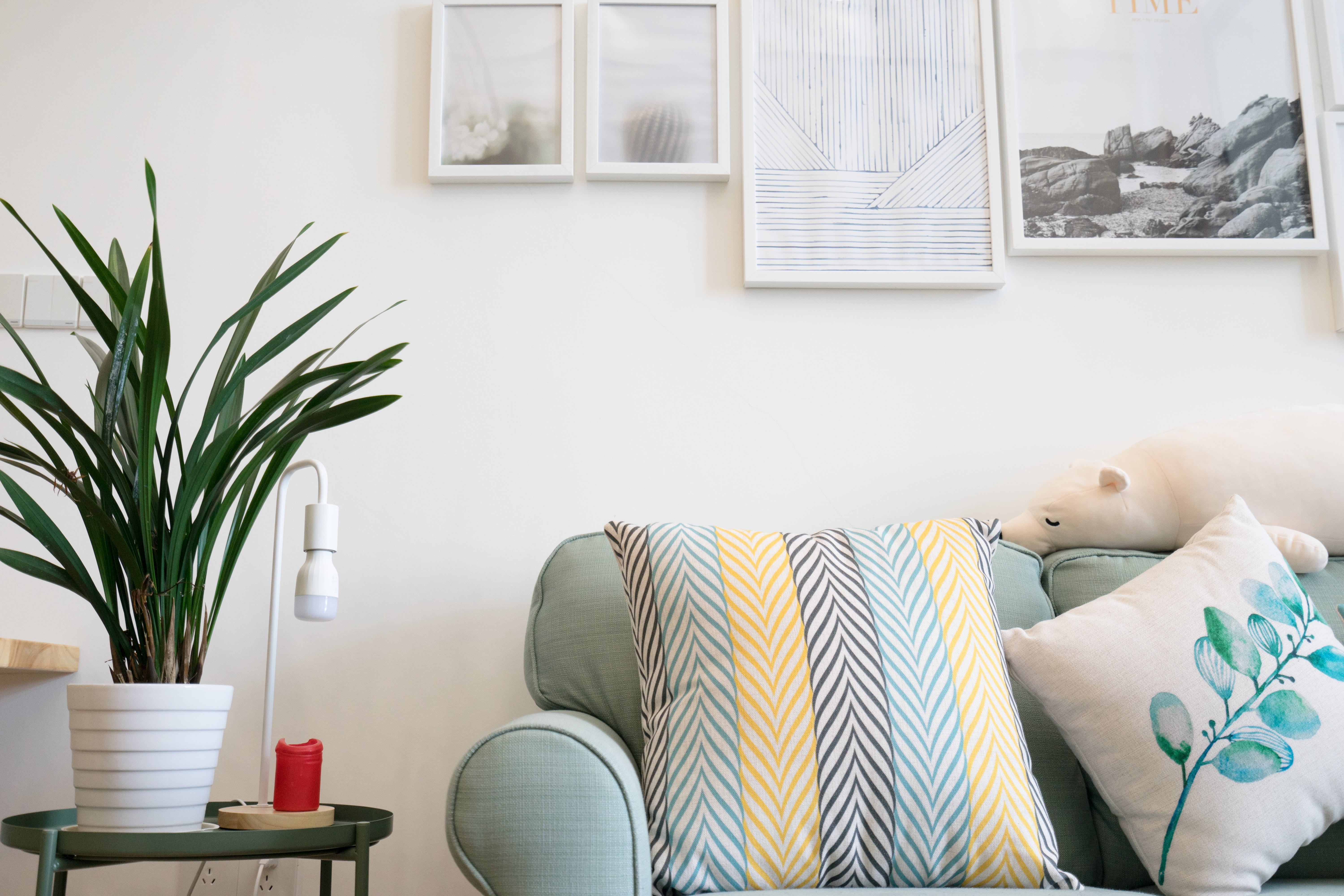 domestic room, innocence, home, day, potted plant, canvas, beside, plant, stuffed, furniture, child, potted, domestic life, armchair, room, young, wall, HD Wallpaper