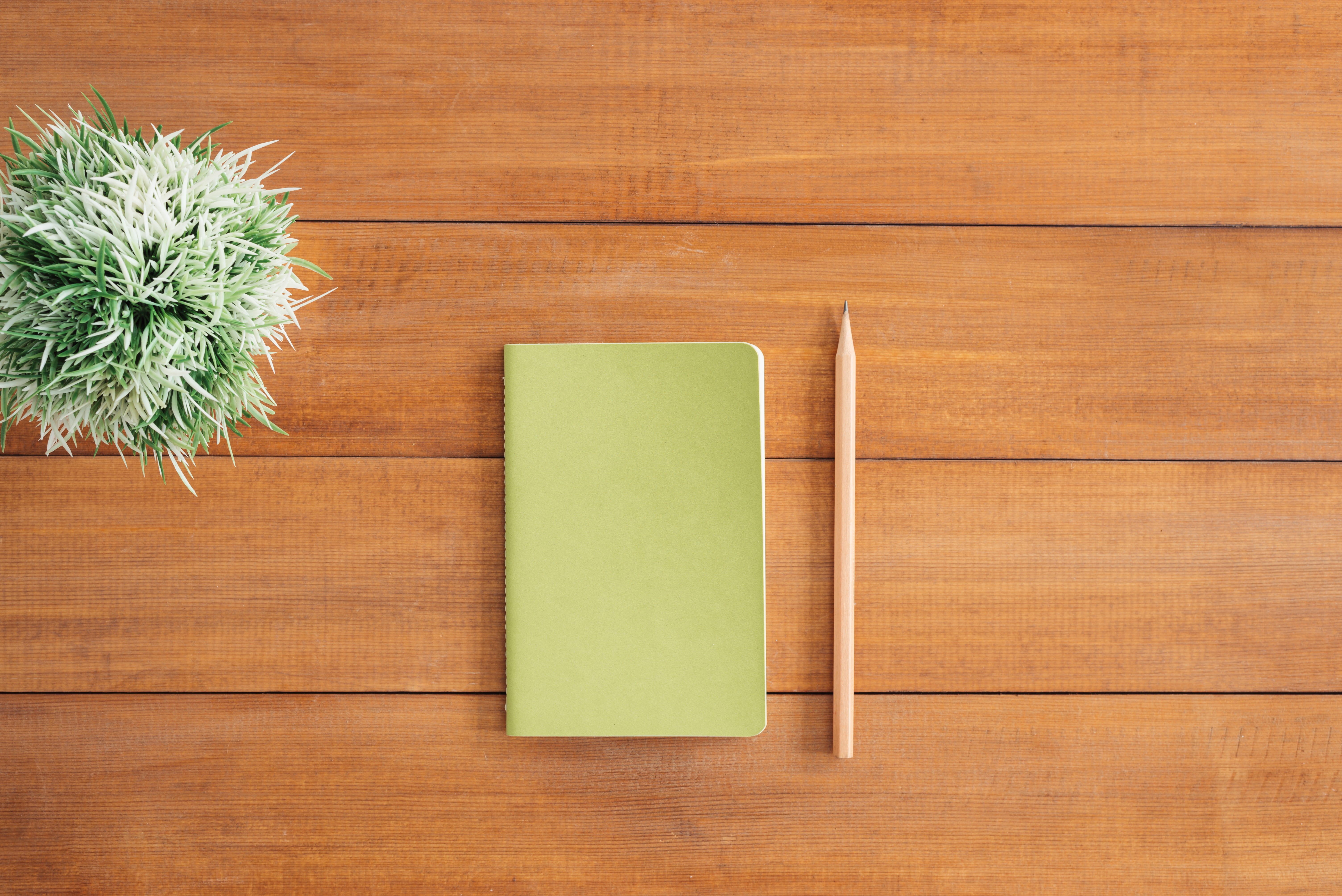 copyspace, office, backgrounds, modern, adhesive note, note - message, plant, board, concept, paper, indoors, brown, wood - material, green color, directly above, HD Wallpaper
