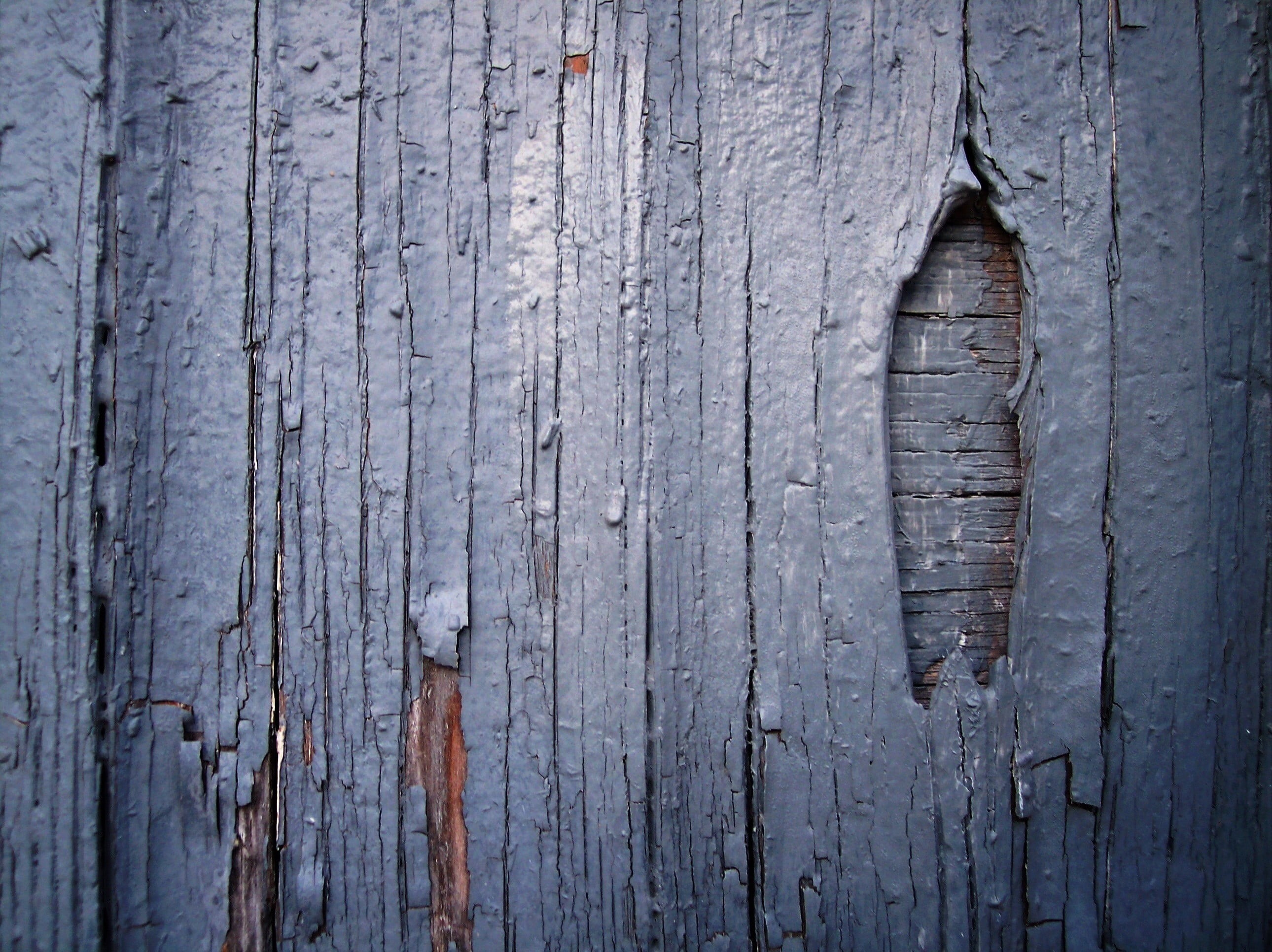 outdoors, board, close-up, wooden surface, 2K, texture, deterioration, planks, architecture, old, textured, wood - material, full frame, nail, gray, backgrounds, HD Wallpaper