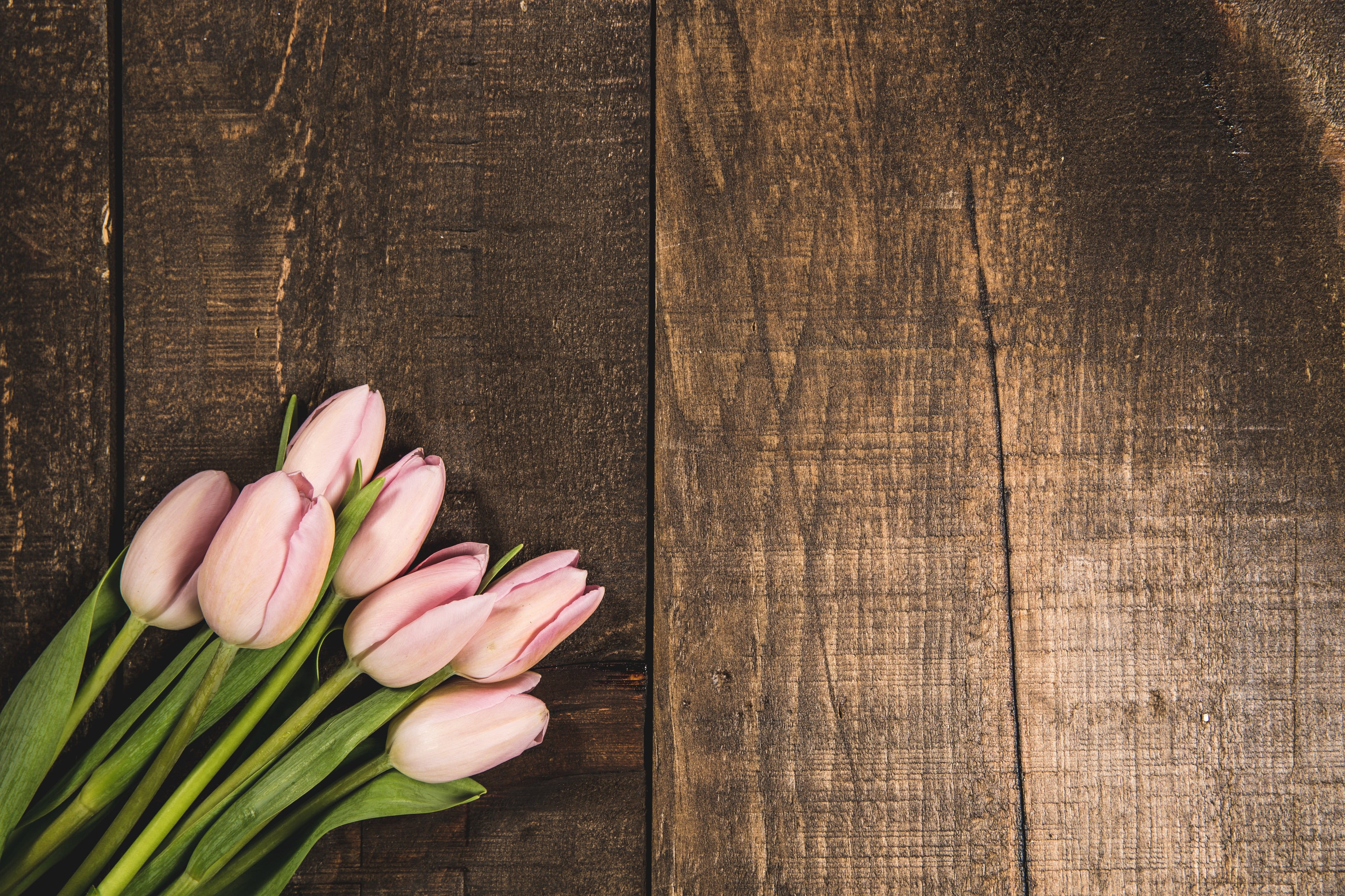 table, copy space, Backgrounds, wood - material, Spring, directly above, no people, texture, still life, Flowers, Textures, Flatlay, flowering plant, 4K, HD Wallpaper