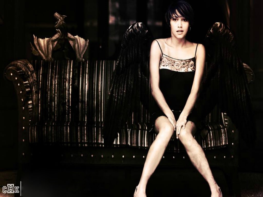480P, dragon, Dragon Wings, HD Wallpaper