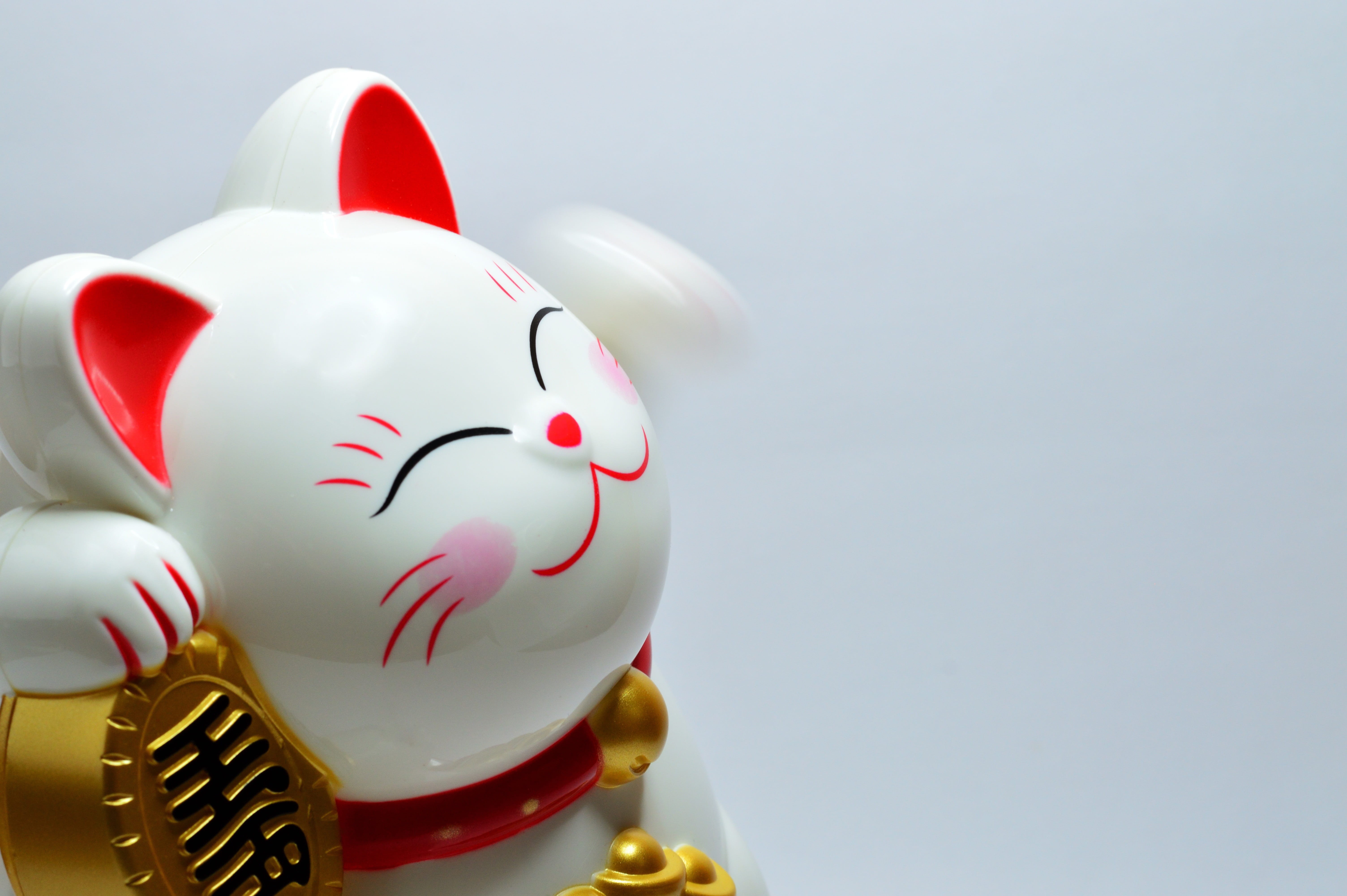no people, rico, culture, savings, fortune, finance, mani, asia, holiday, business, nature, claw, chinese, 5K, good, figurine, metal, eastern, money, lucky, HD Wallpaper