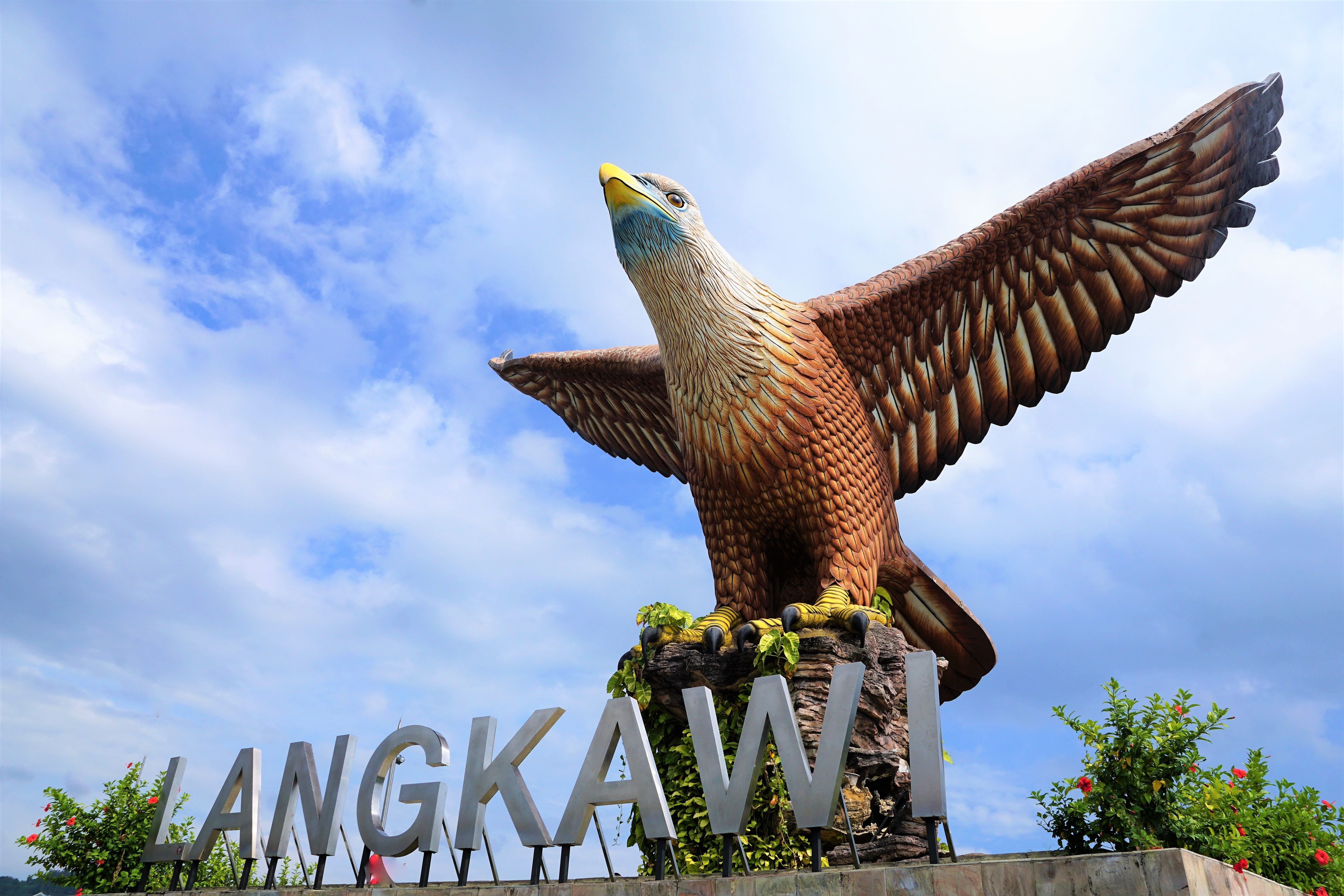 day, spread wings, animal wildlife, flying, body, adler, plant, color, sculpture, malaysia, wing, low angle view, bird, representation, weather, name, summer, HD Wallpaper