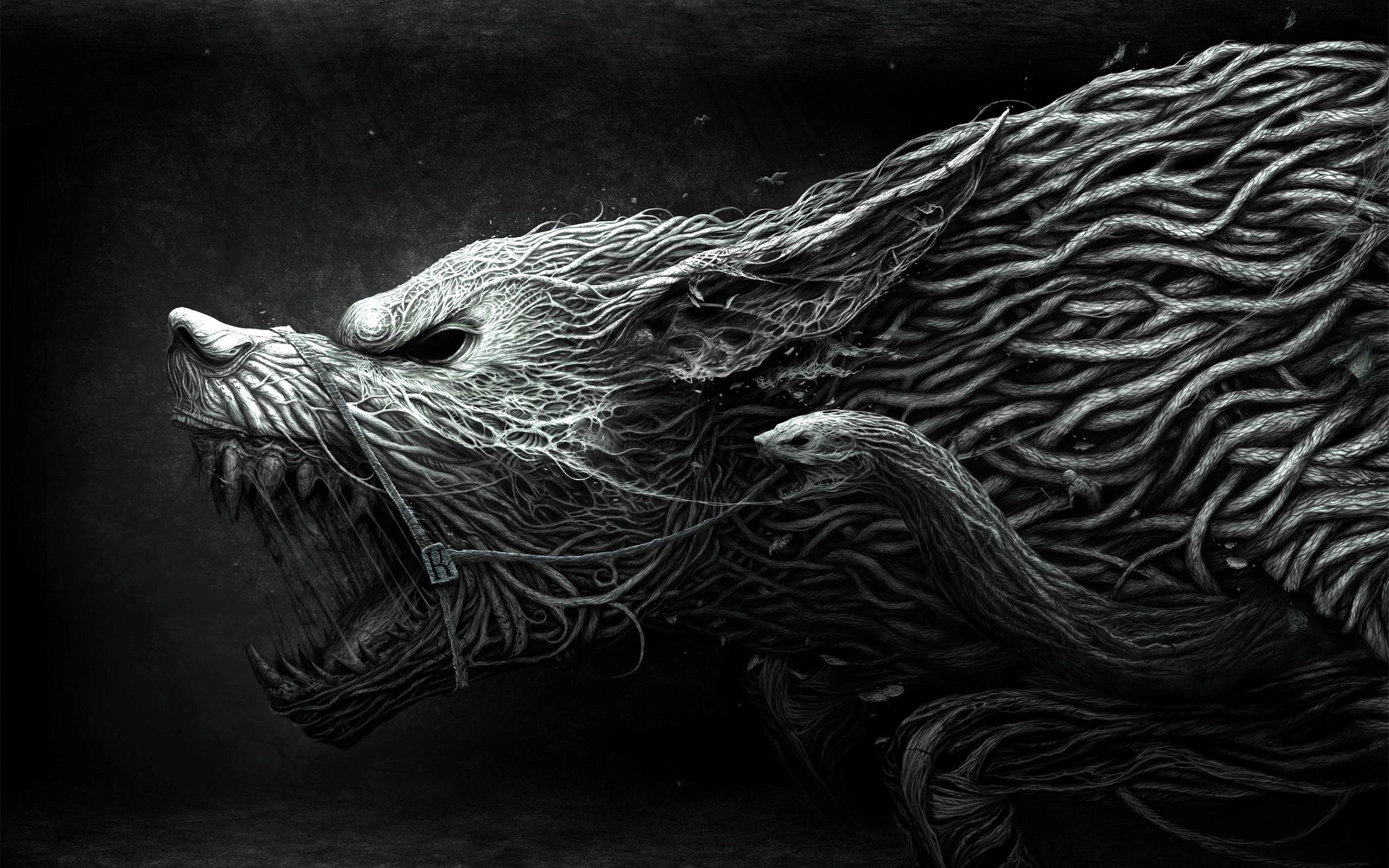 aggression, white, 2K, wolf, black, teeth, drawing, HD Wallpaper