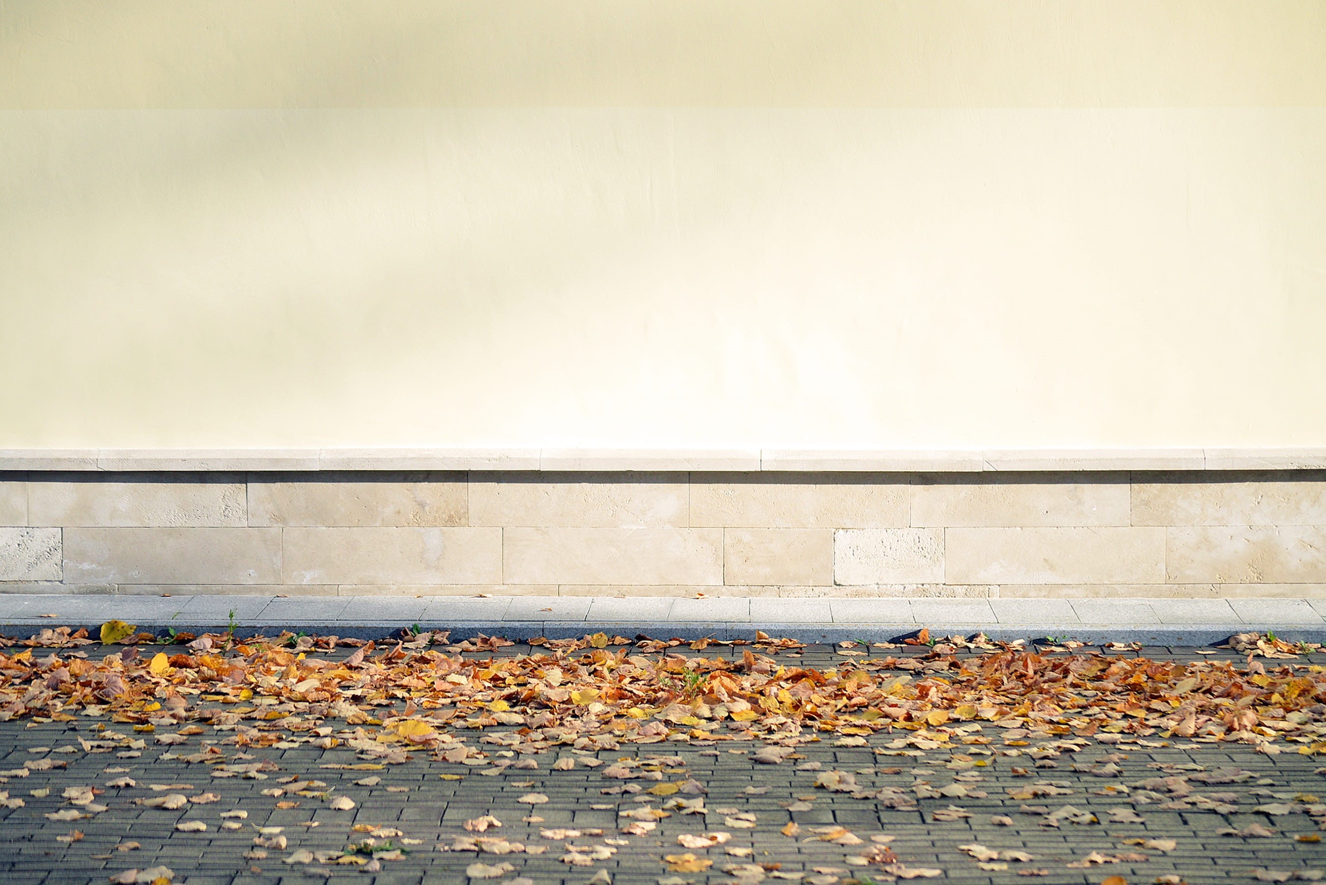 red, architecture, color, abundance, autumn, city, outdoor, white, scenics, october, nizhny novgorod, thanksgiving, ground, september, leaf, blank, colorful, HD Wallpaper