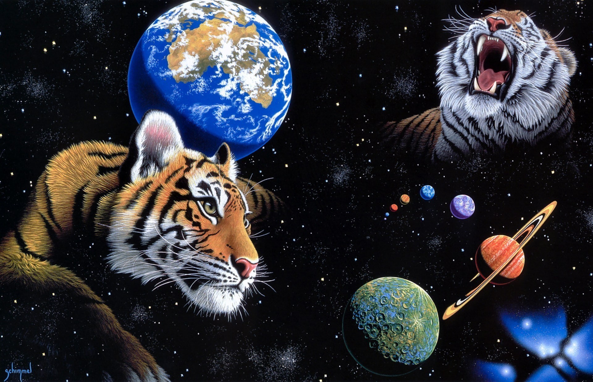 psychedelic, stars, Tigers, universe, sci, un, fi, anime, azumanga, hd, x, 1920x1237 px, William, 1080P, Space, planets, animals, digital, art, px, schimmel, HD Wallpaper