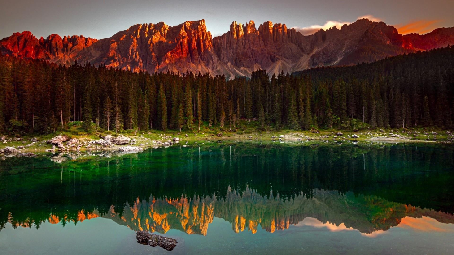 water, nature reserve, national park, mountain range, reflection, 1080P, landscape, forest, dolomites, pine woodland, rock, pine tree, environment, mountain, HD Wallpaper