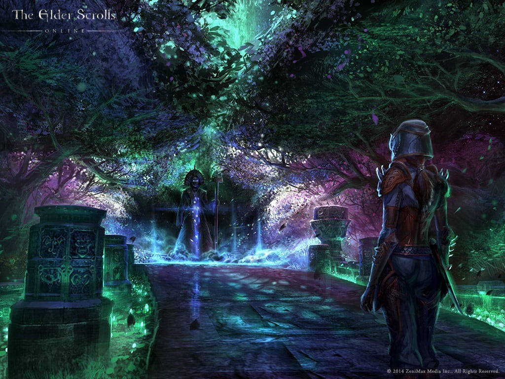 The Elder Scrolls Online, elder, digital, outdoors, land, lifestyles, video games, scrolls, day, water, one person, women, full length, plant, HD Wallpaper