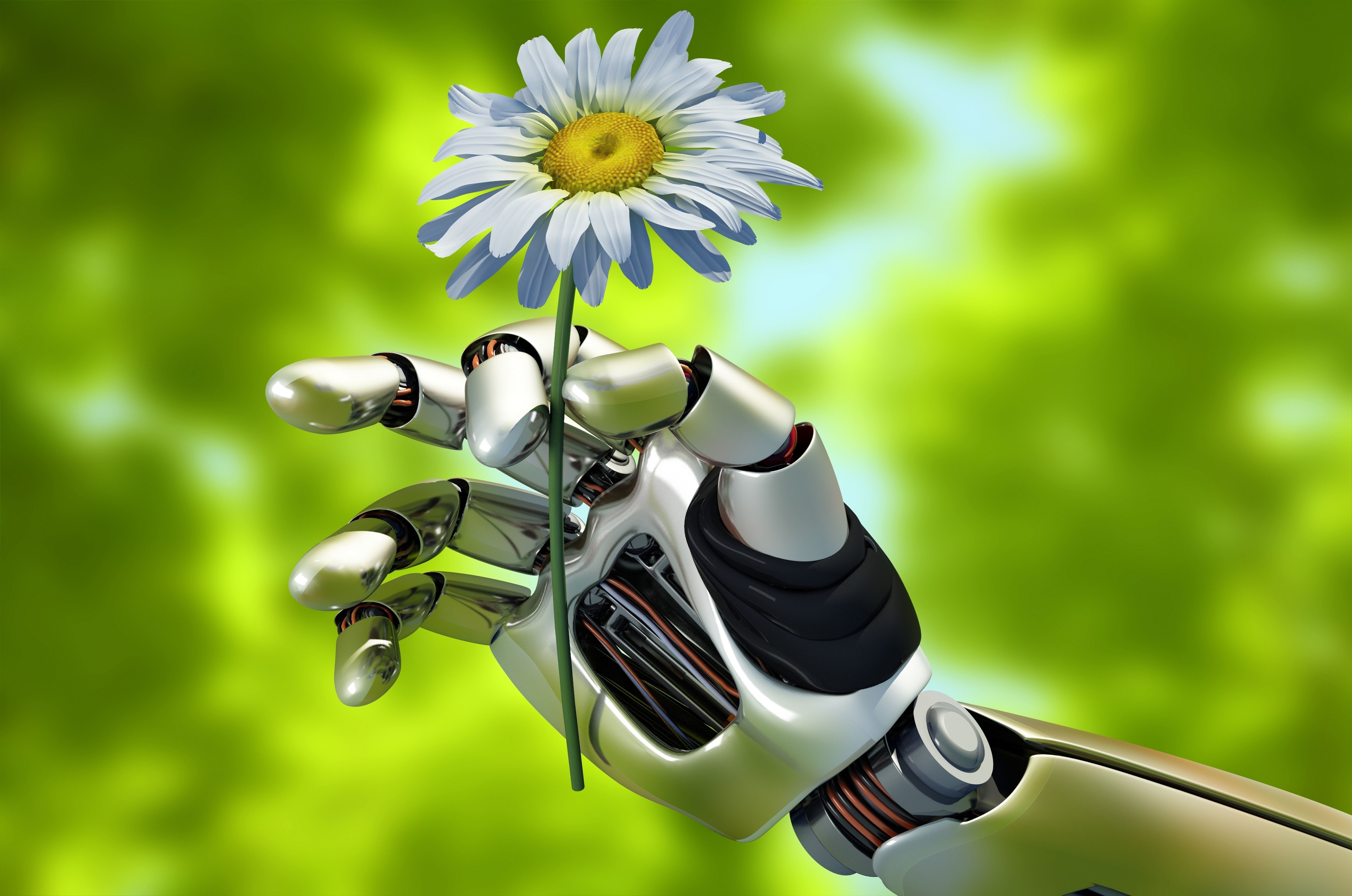 macro, gardening, plant, blur, flower head, beautiful background, bokeh, growth, freshness, close-up, petal, white color, robot, hi-tech, flowering plant, HD Wallpaper
