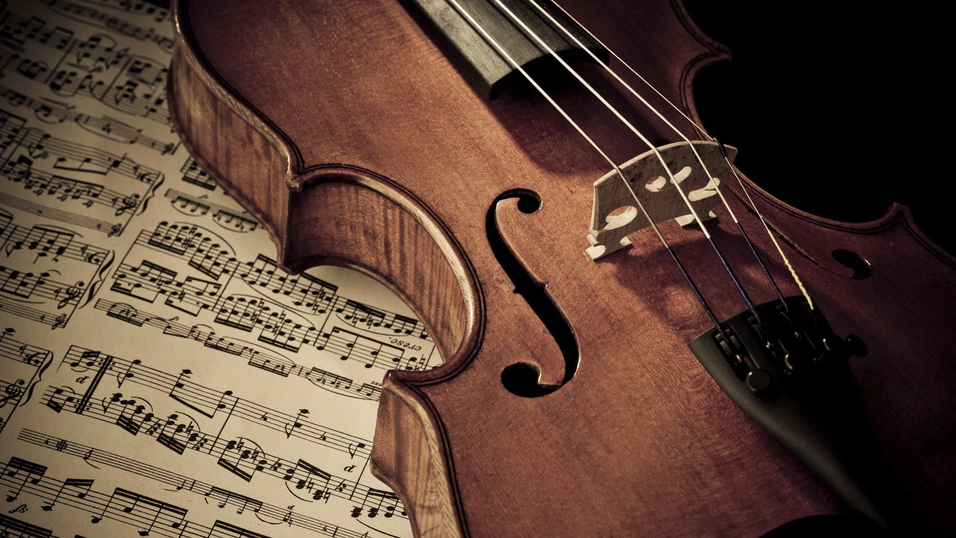 violin, 1080P, HD Wallpaper
